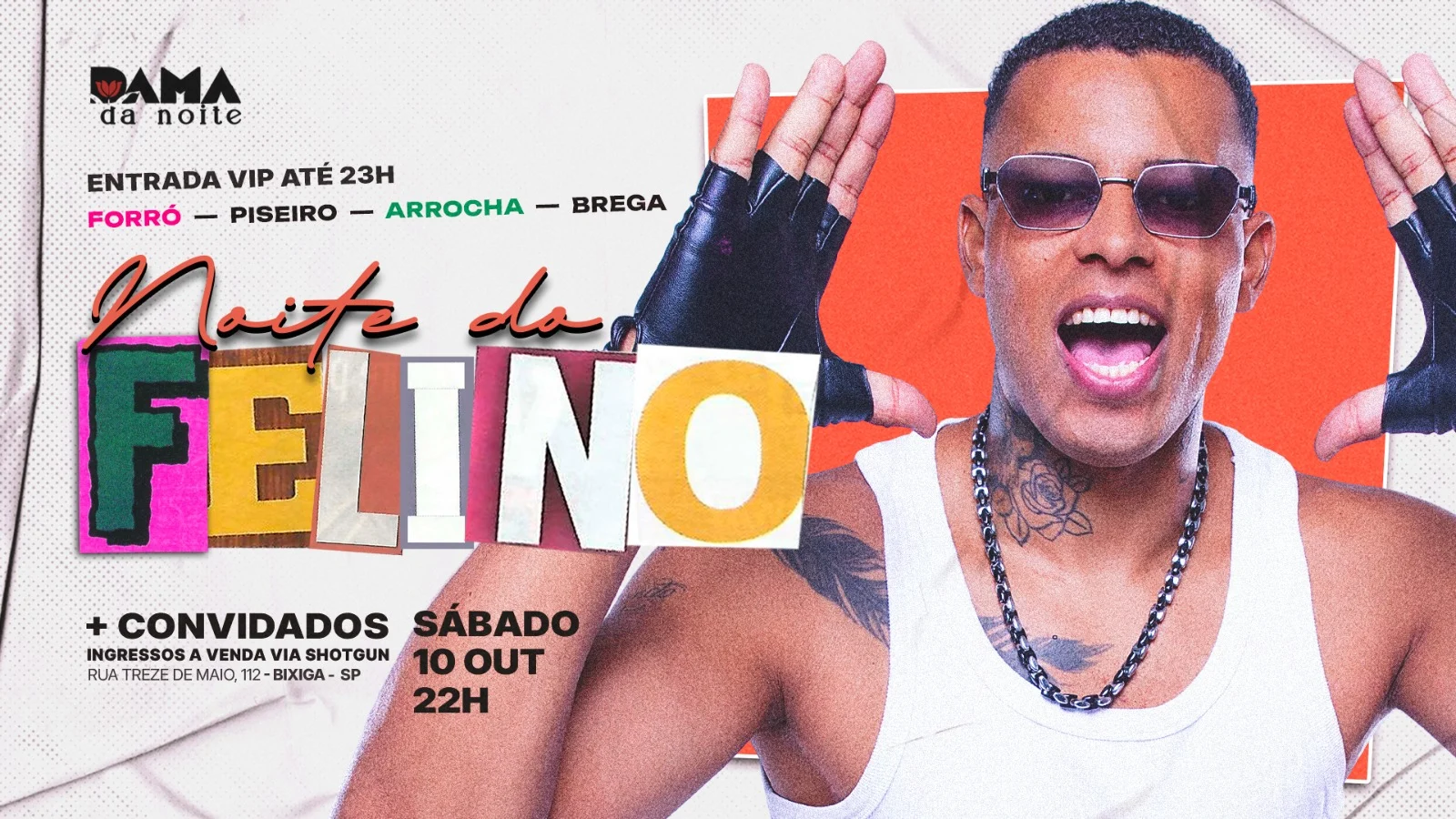 Noite Do Felino Cover