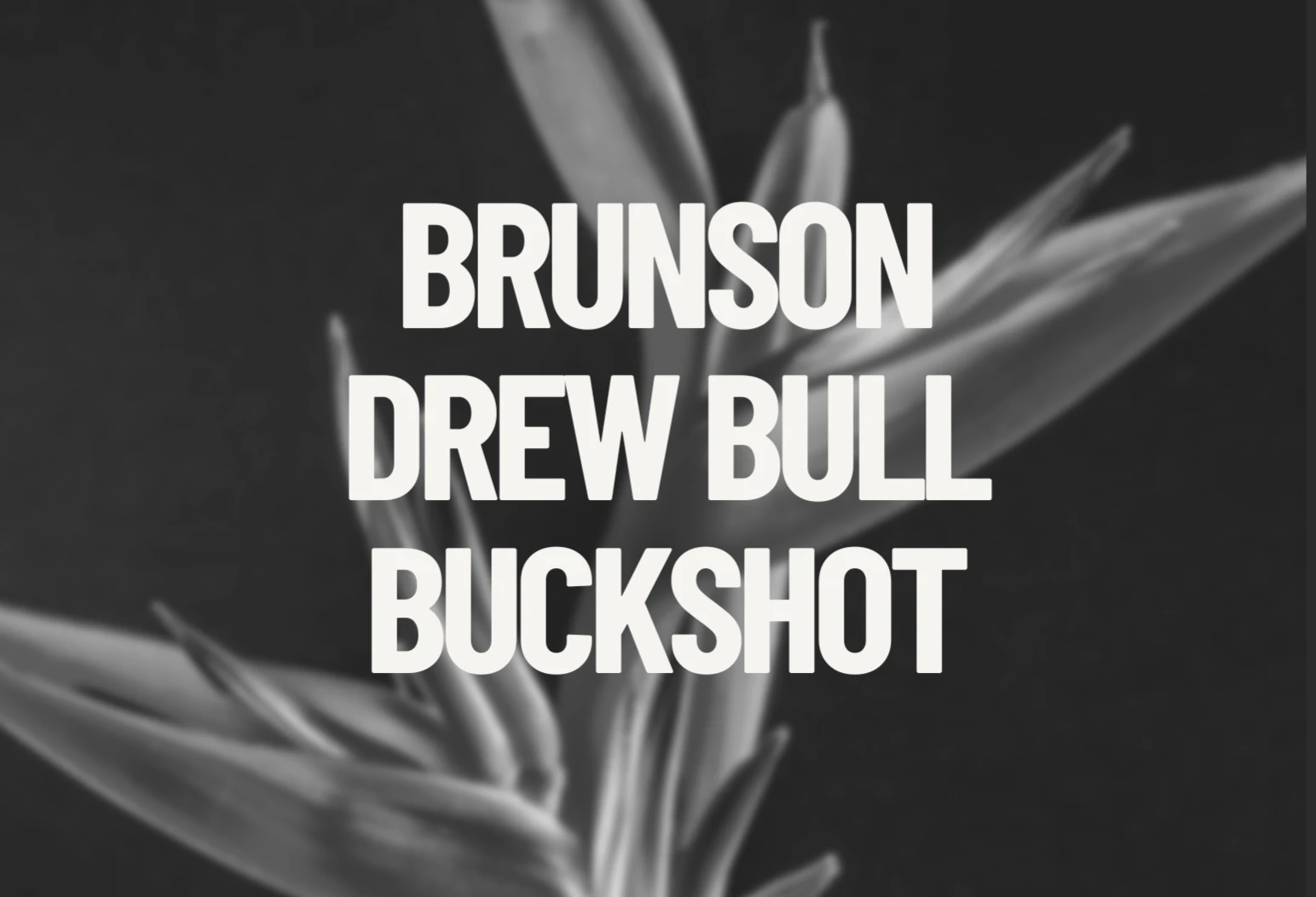 Brunson, Drew Bull & Buckshot Cover