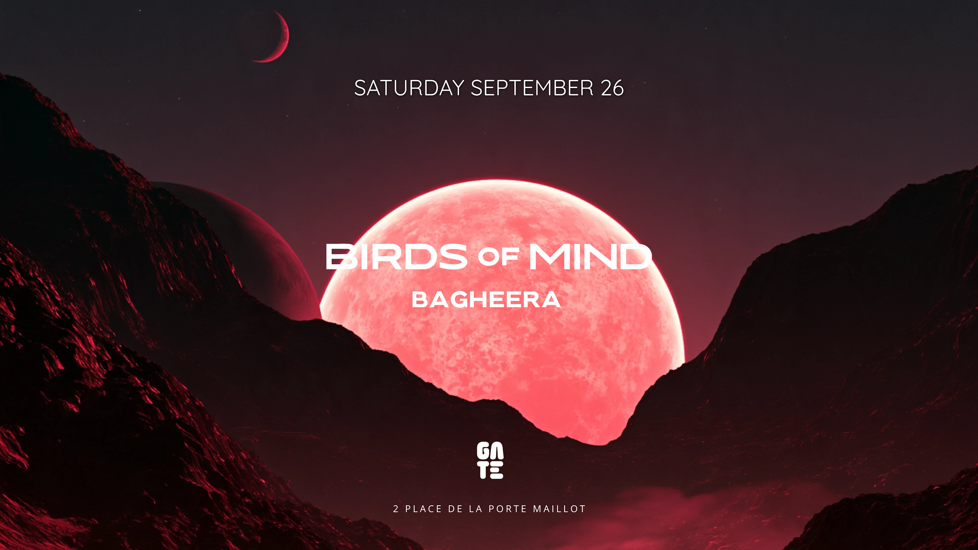 Birds Of Mind X Bagheera At Gate Club Paris Cover