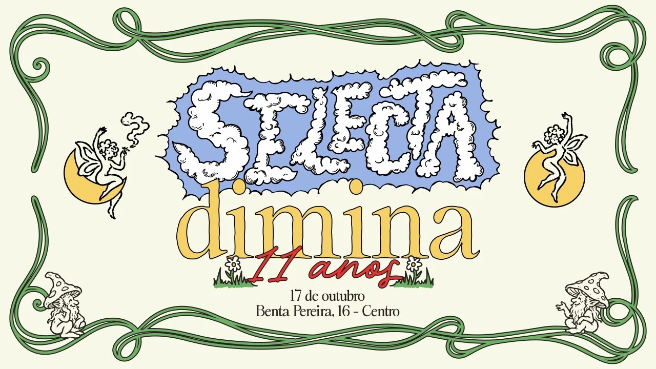 Selecta Dimina 11 Anos Cover