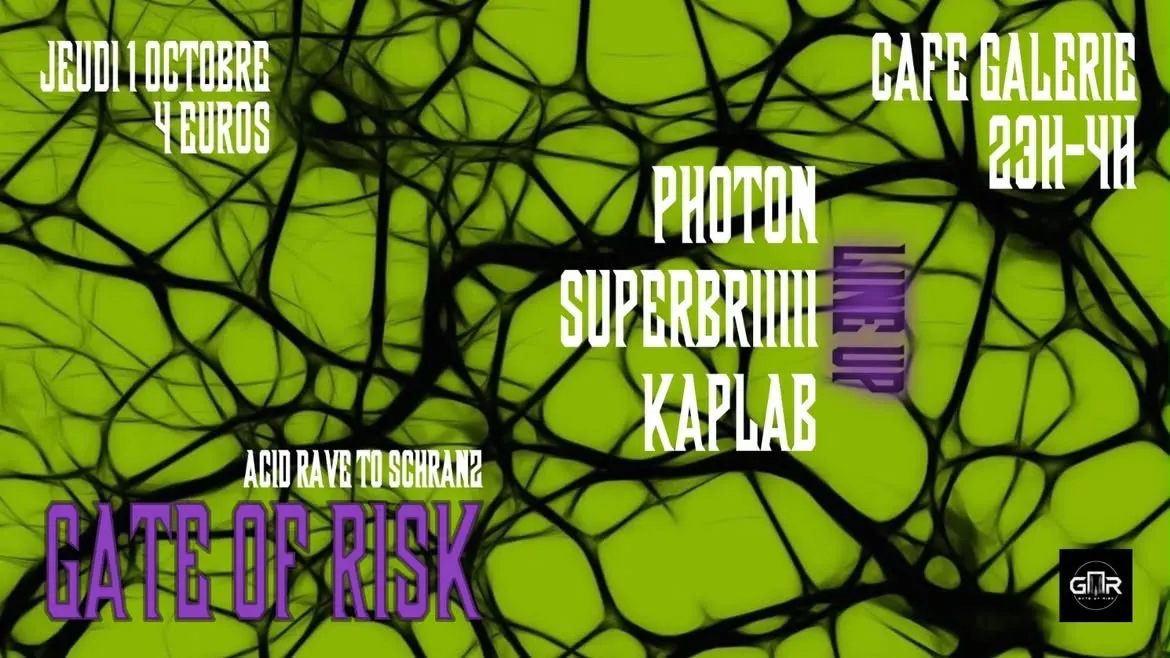 Gate Of Risk : Acid Rave To Schranz Cover