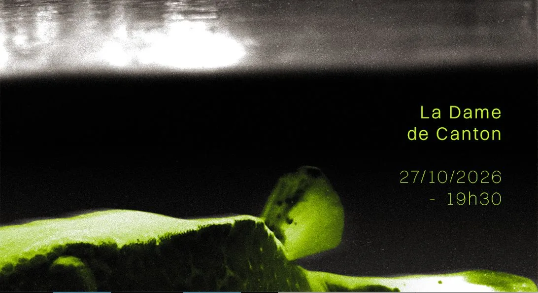 Fish Don't Exist X Scleroda X Eigengrau Cover