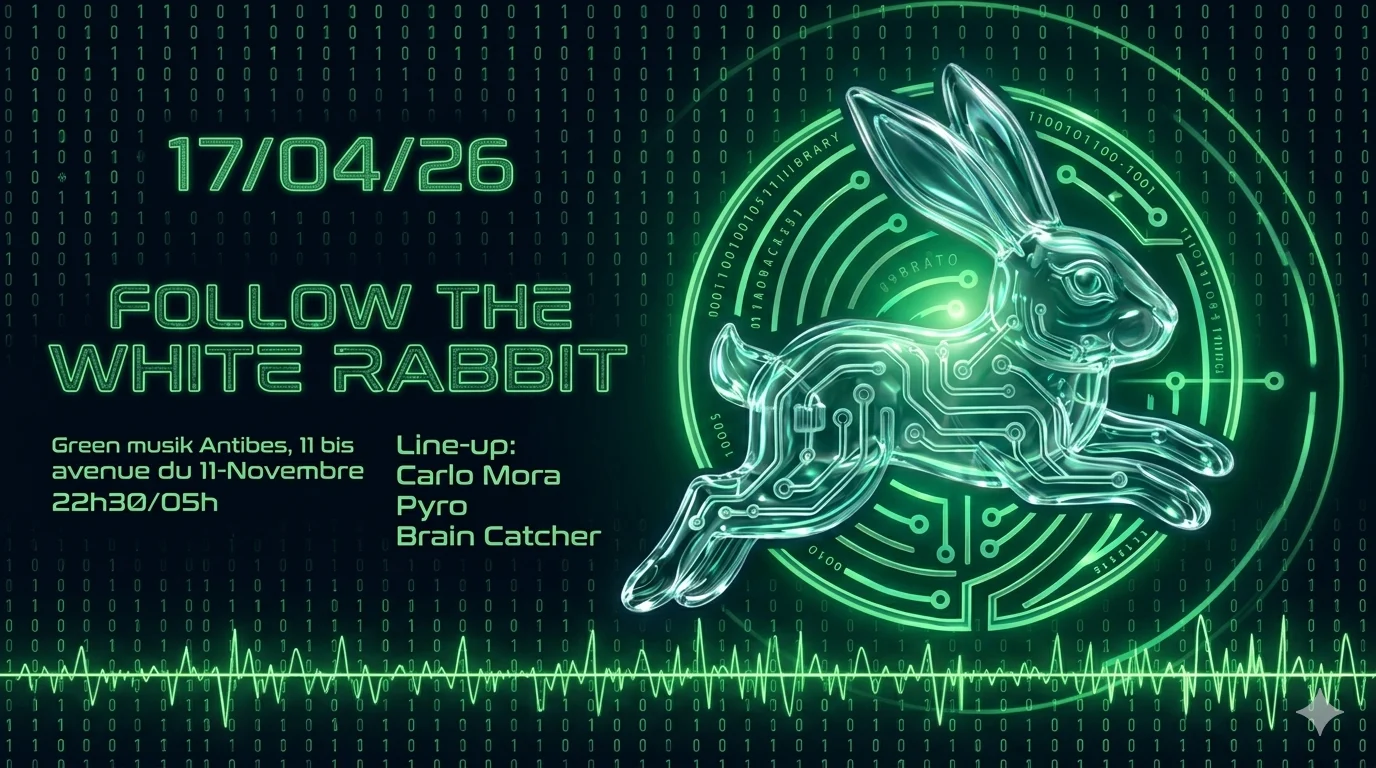 Follow The White Rabbit | L'eveil Electronique Cover