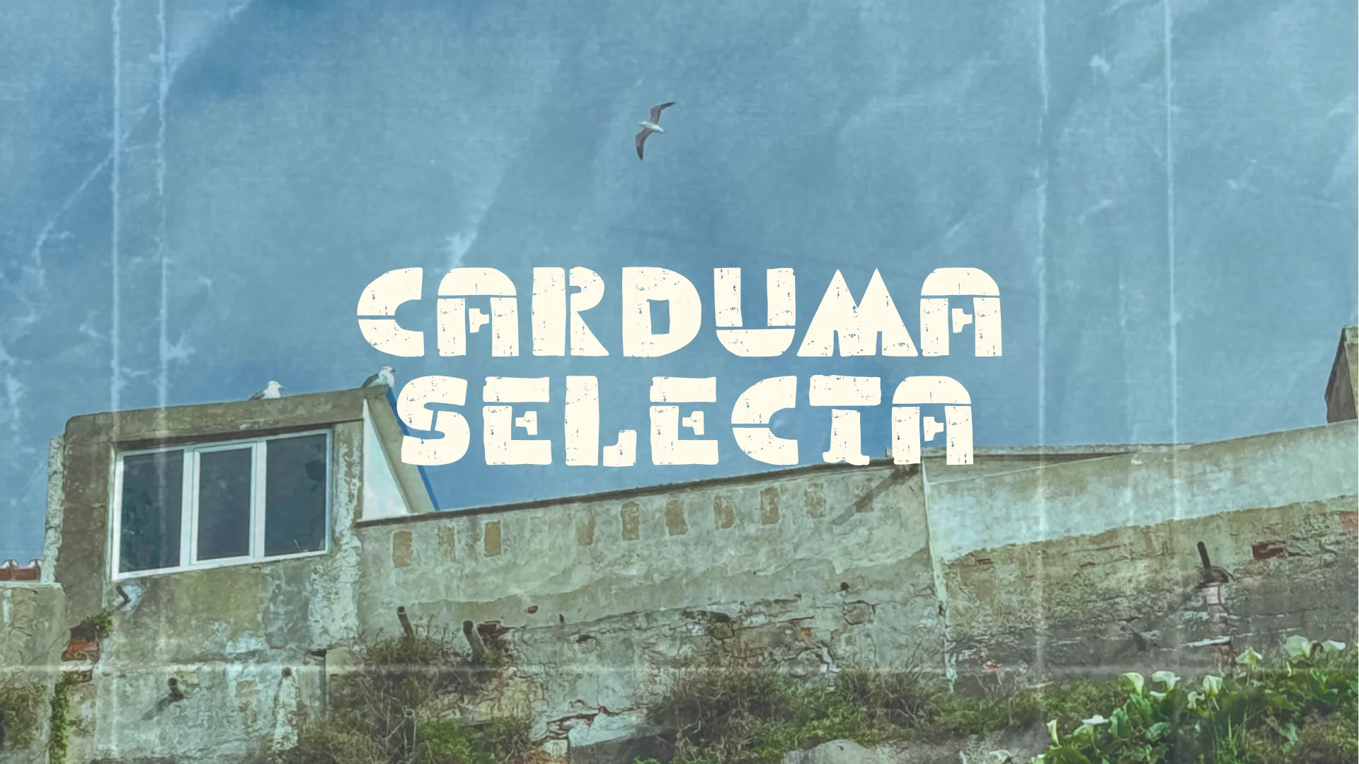 Carduma Selecta Cover