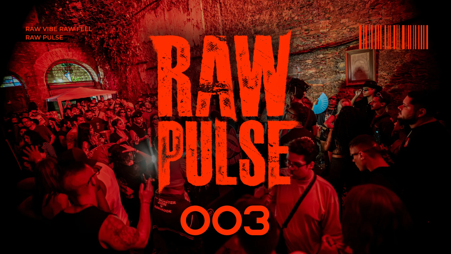 Raw Pulse:003 Cover
