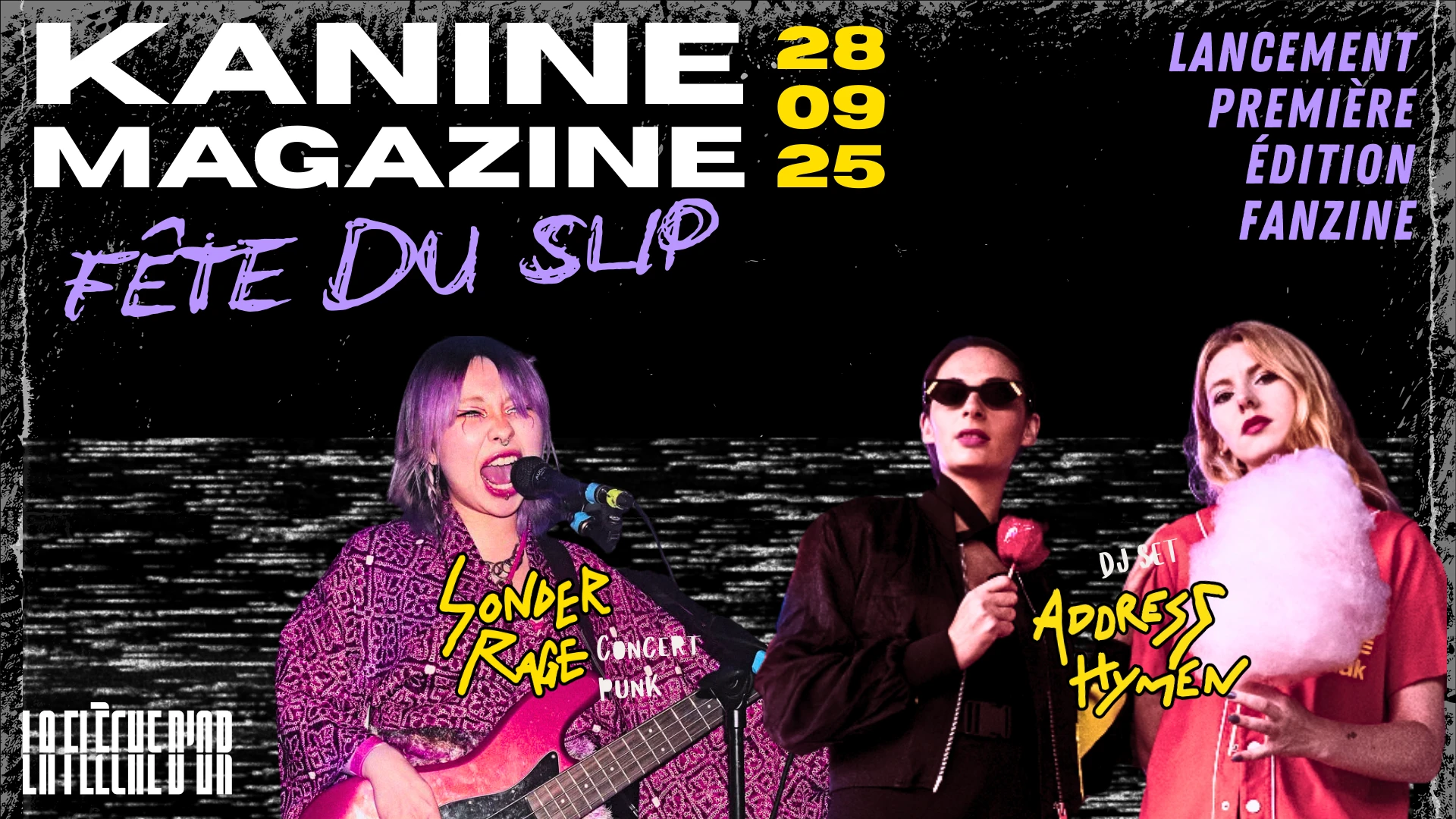 La Fête Du Slip Cover