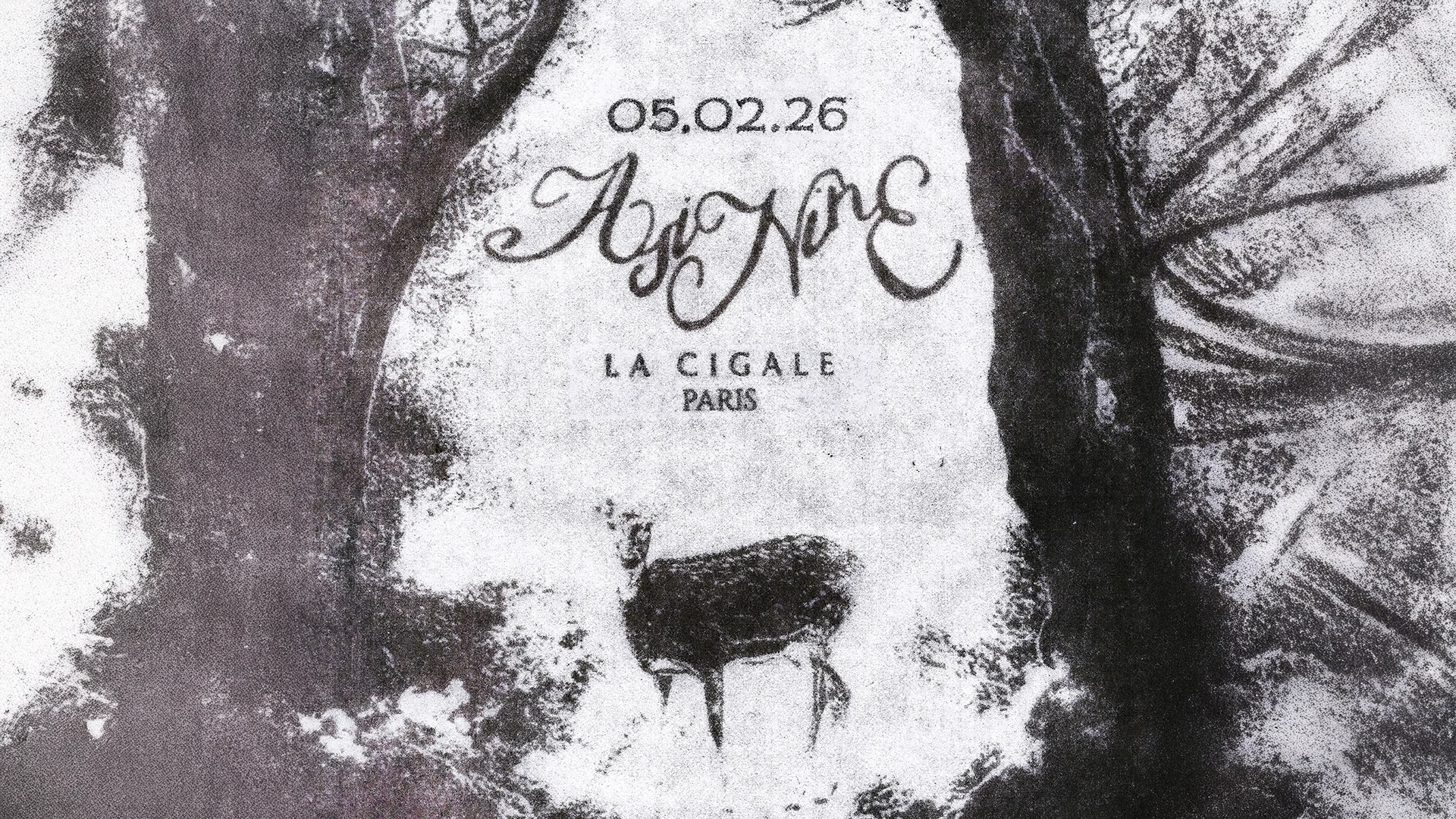 Asinine - La Cigale Cover