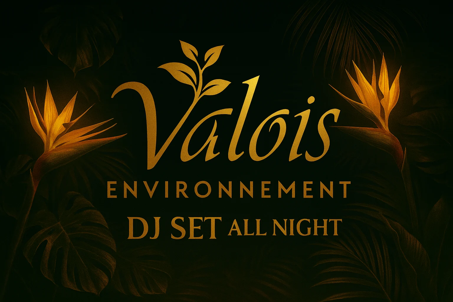 Valois - Jungle - Djset Cover