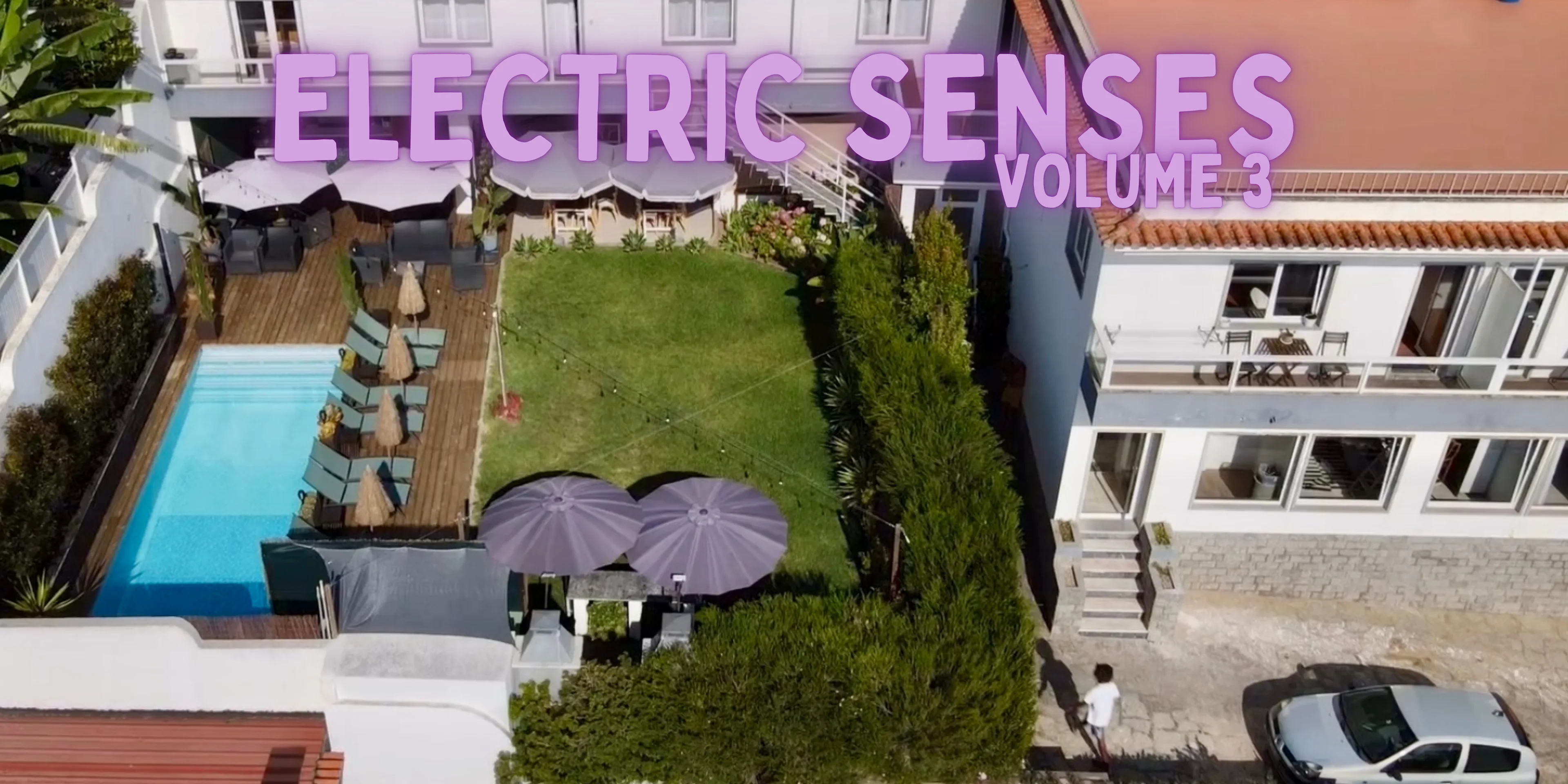 Electric Senses Vol. 3 Cover