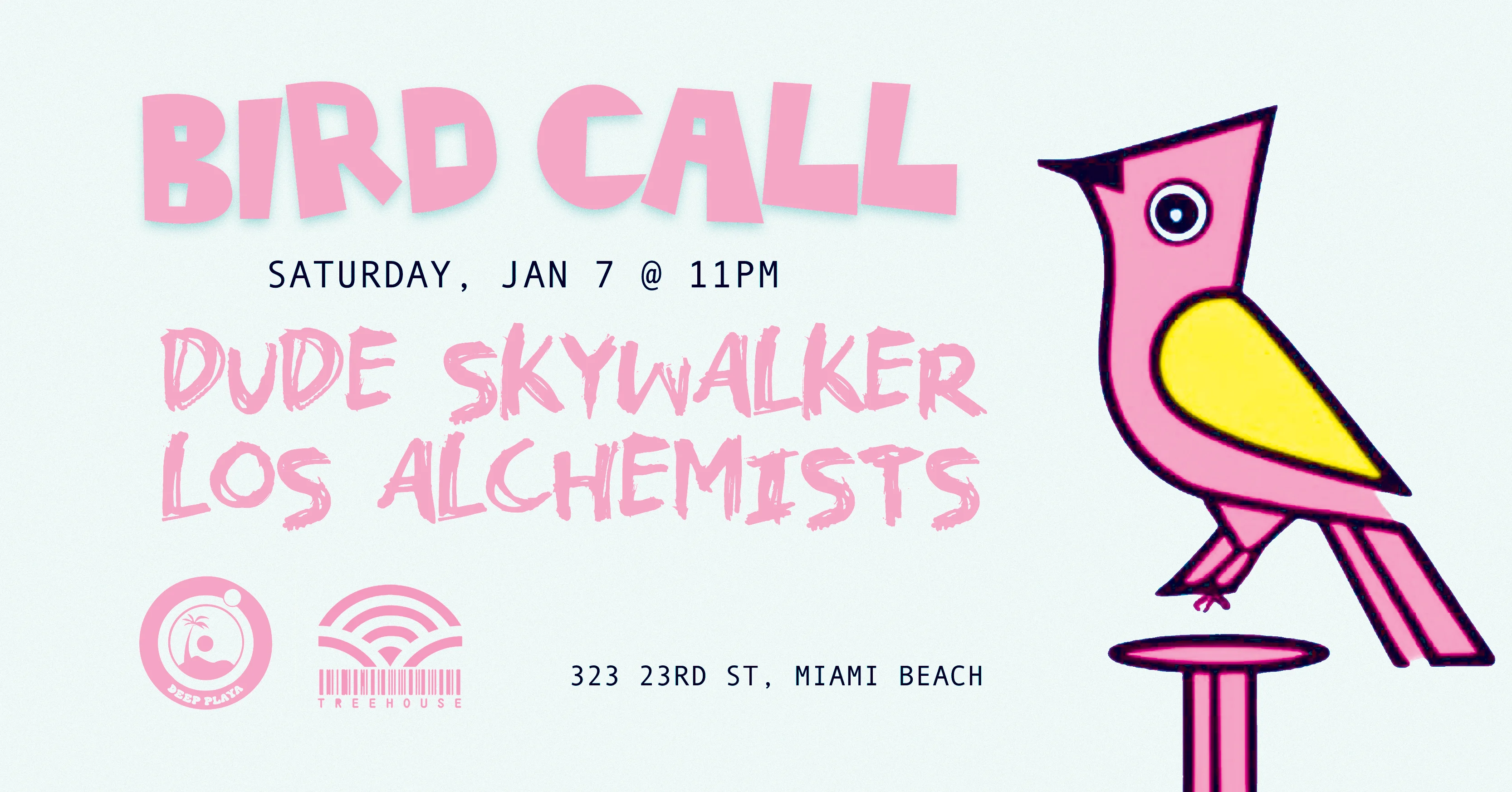 Deep Playa Presents Bird Call  Cover
