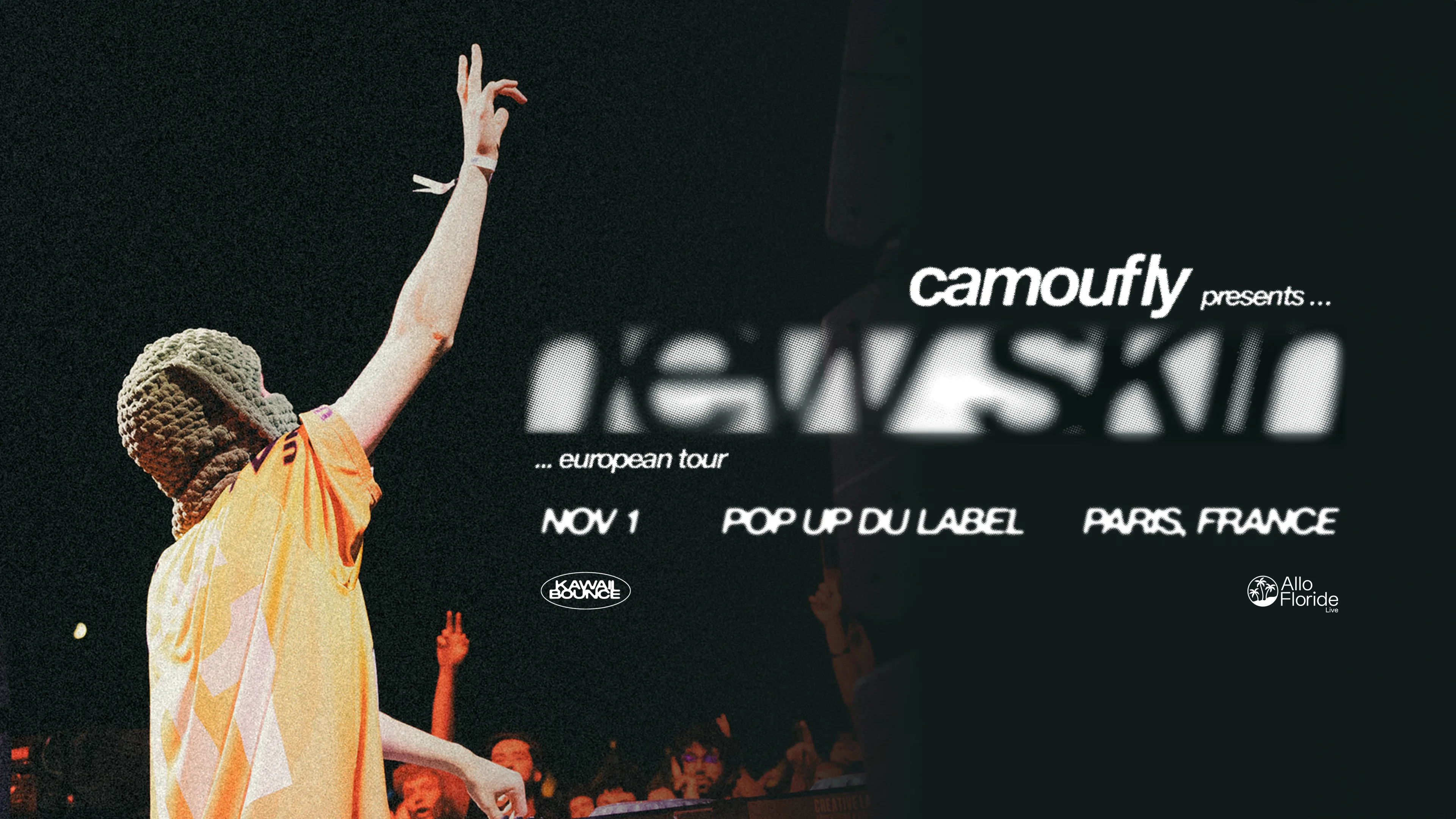 Camoufly — Popup! Cover