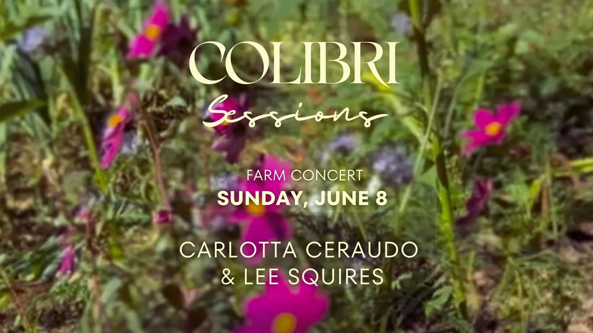 Colibri Session - Farm Concert Cover