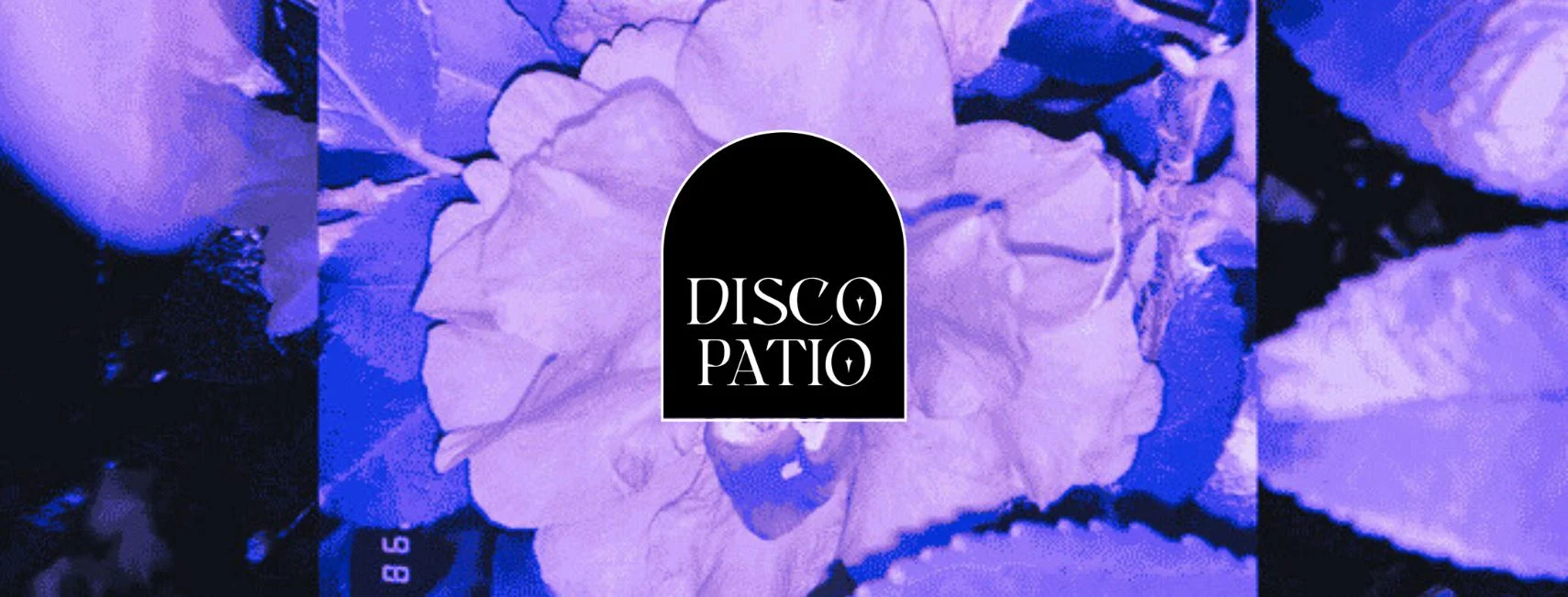 Disco Patio X "Close-Knit Session" Cover