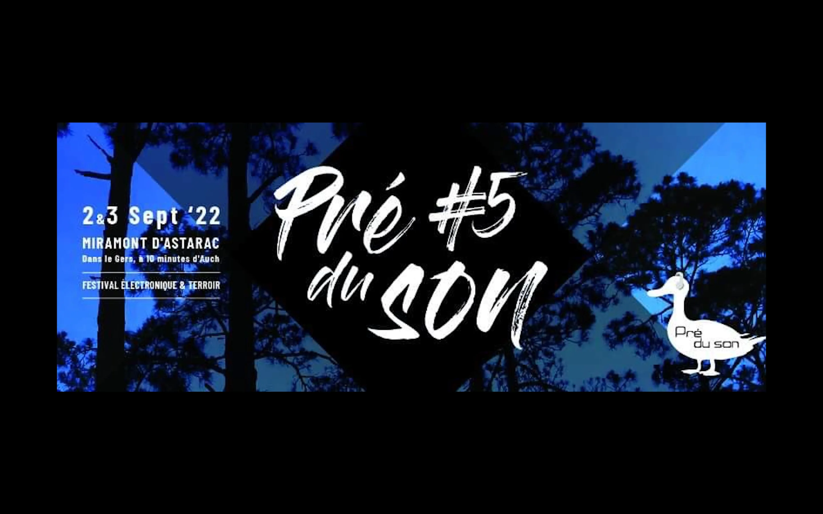 Festival Pre Du Son #5 Cover