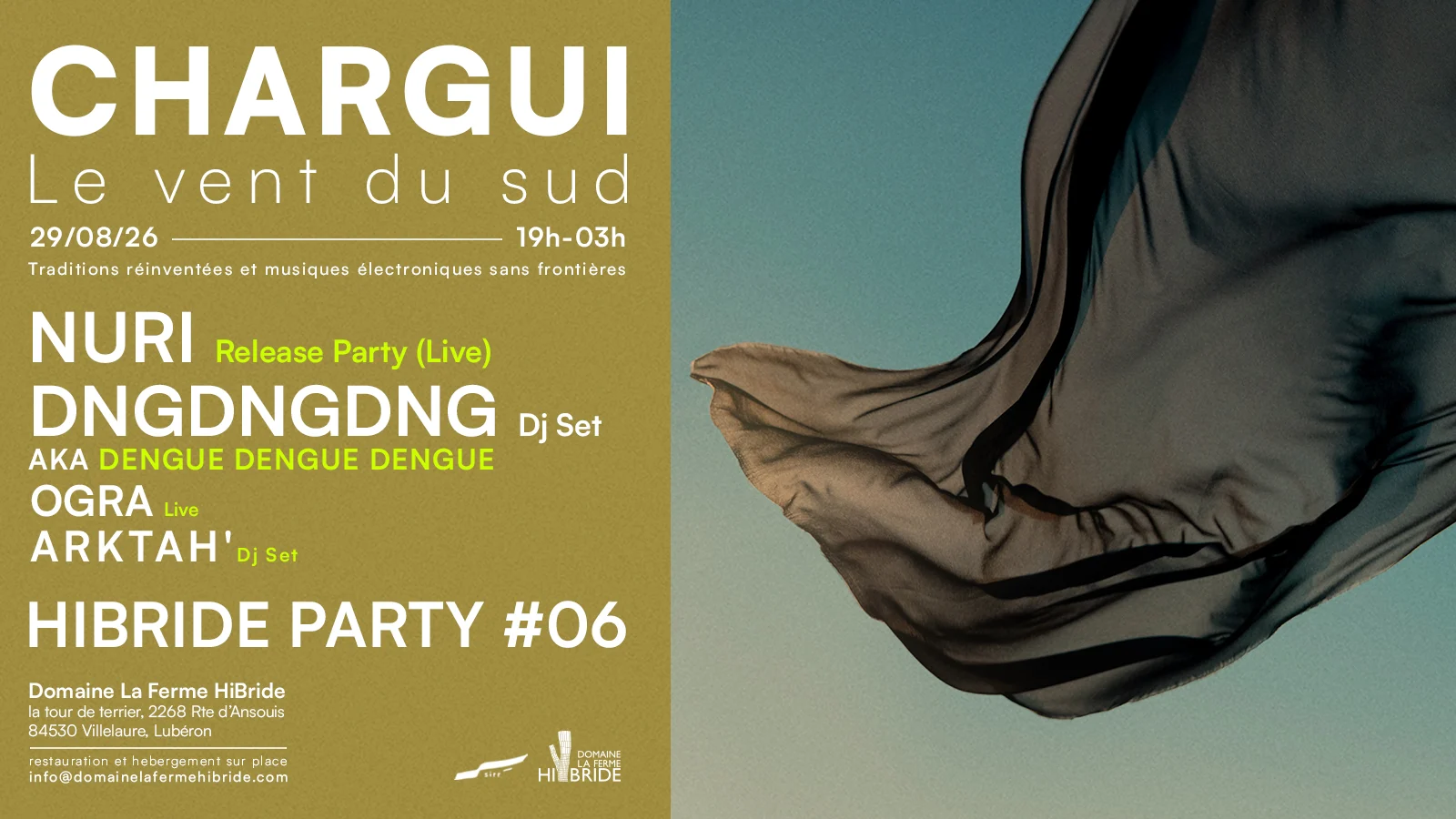 Dengue Dengue Dengue Hibride Party #6 (Nuri; Ogra ) Cover