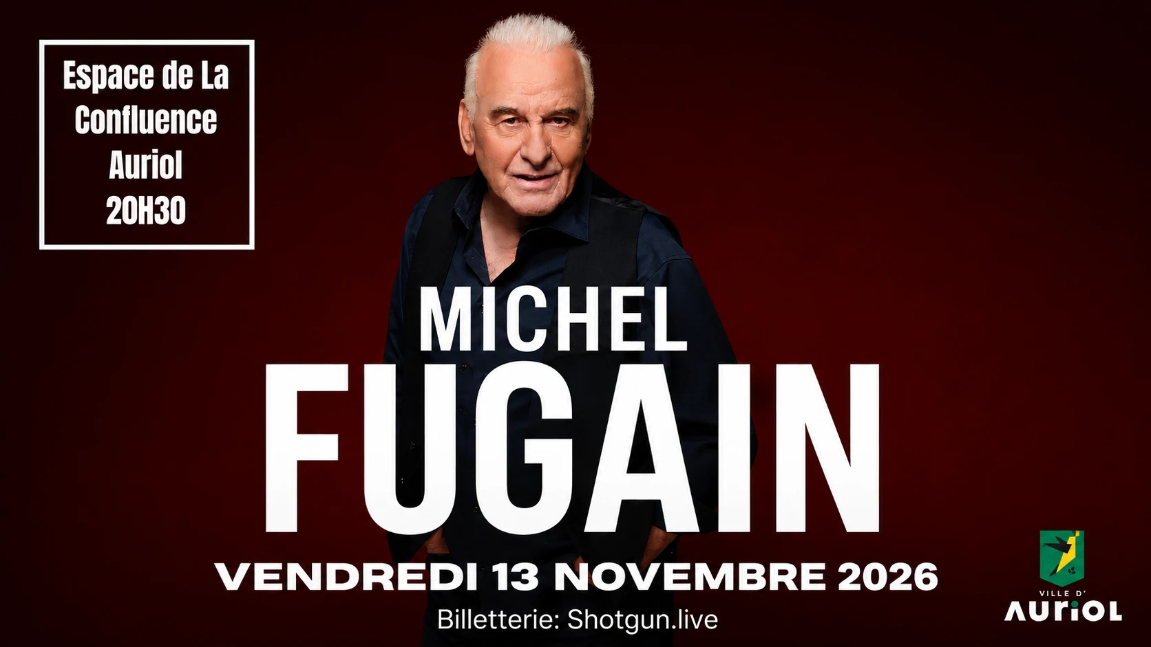 Michel Fugain "C'est L'histoire D'une Belle Histoire" Cover