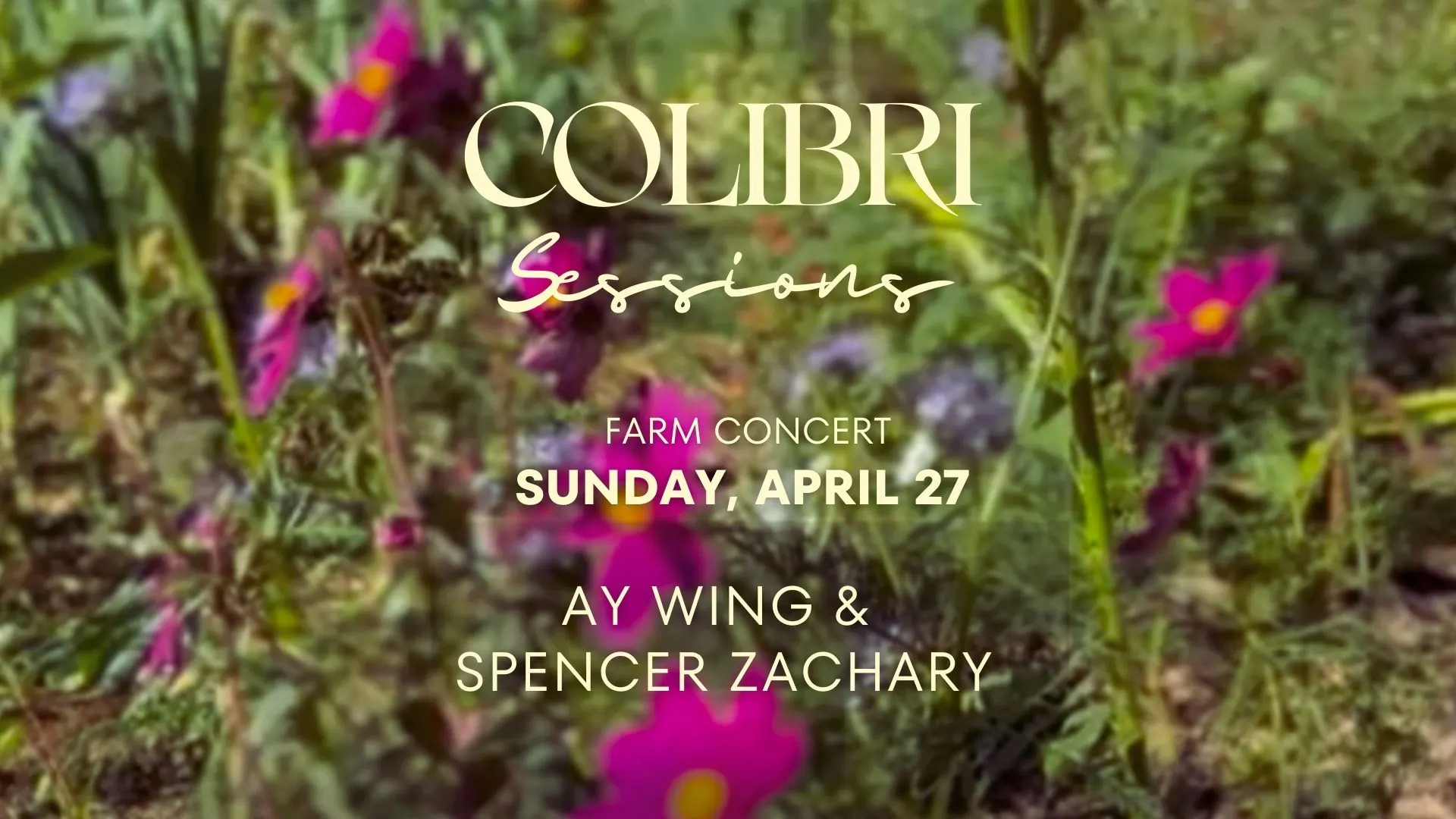Colibri Session - Farm Concert Cover