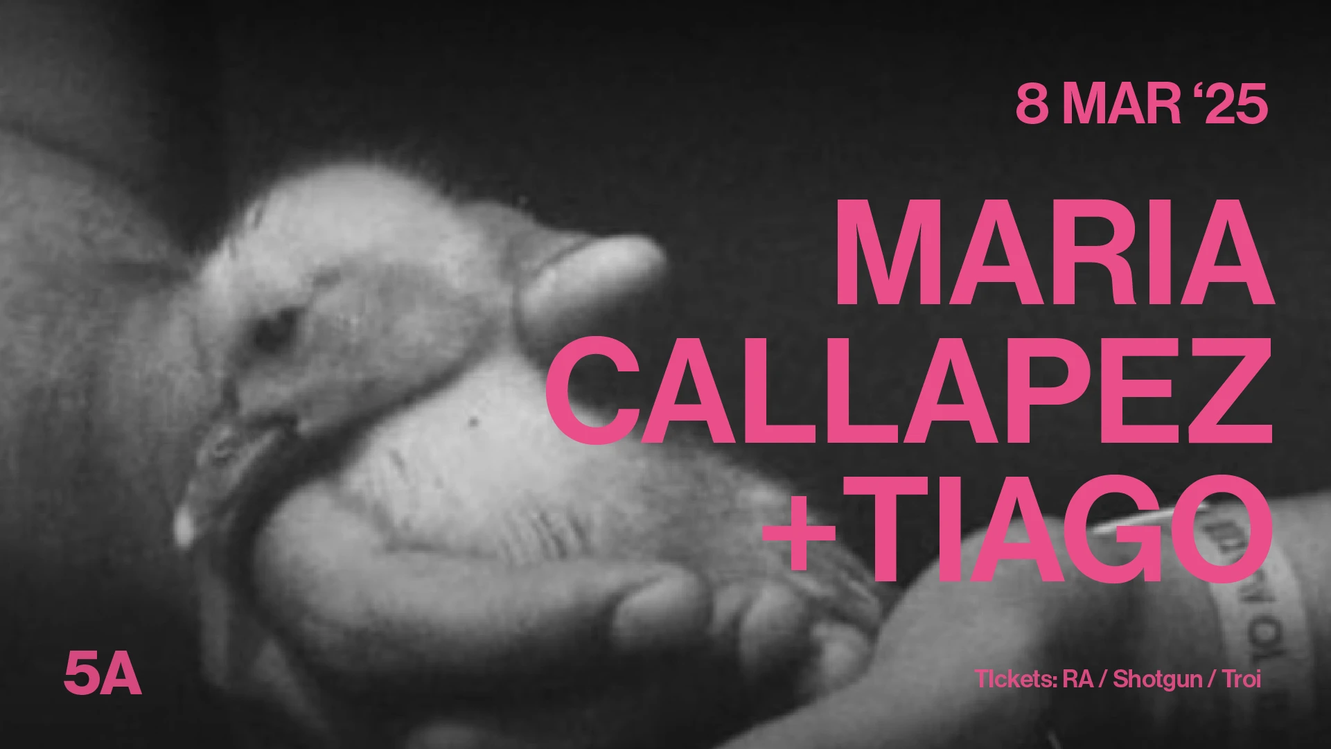 Maria Callapez + Tiago Pandilla Ltd Cover