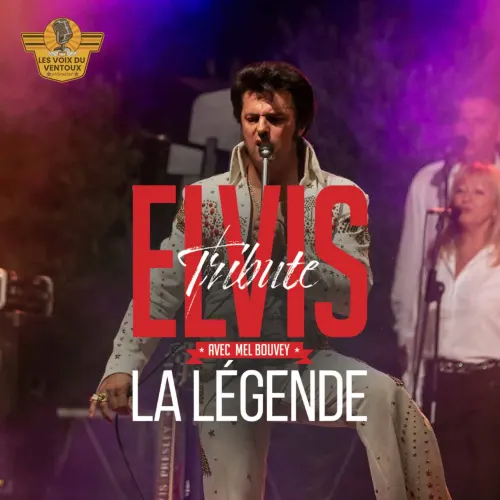 Elvis La Légende Cover
