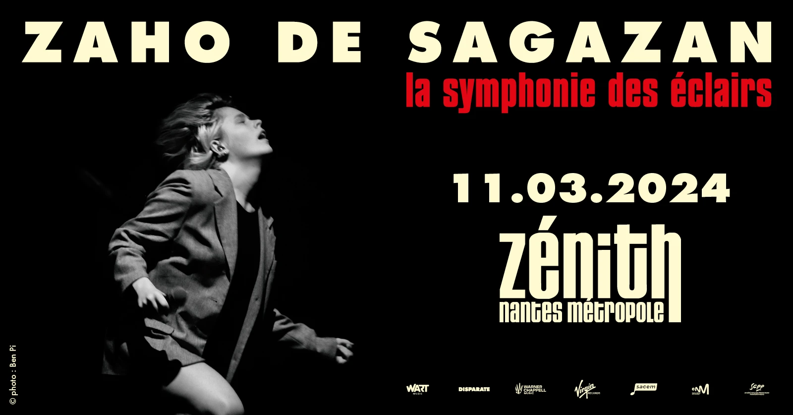 Zaho De Sagazan - Zenith Nantes Metropole Cover