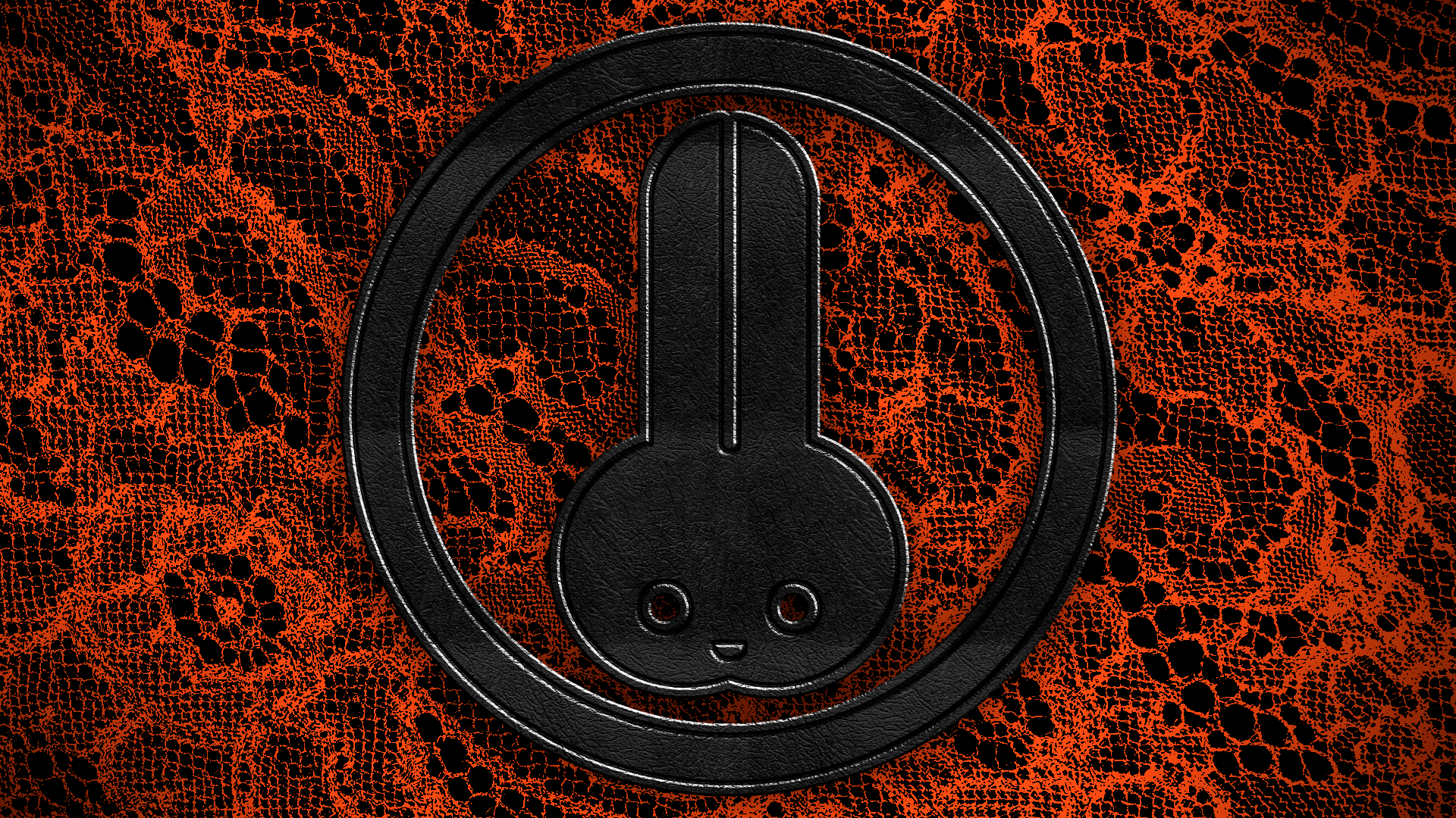 Hole: Leather & Lace Cover