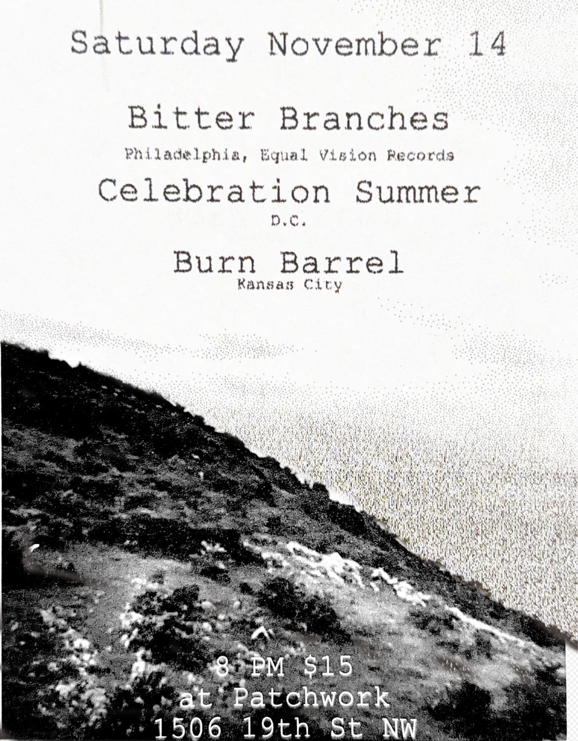 Bitter Branches Cover