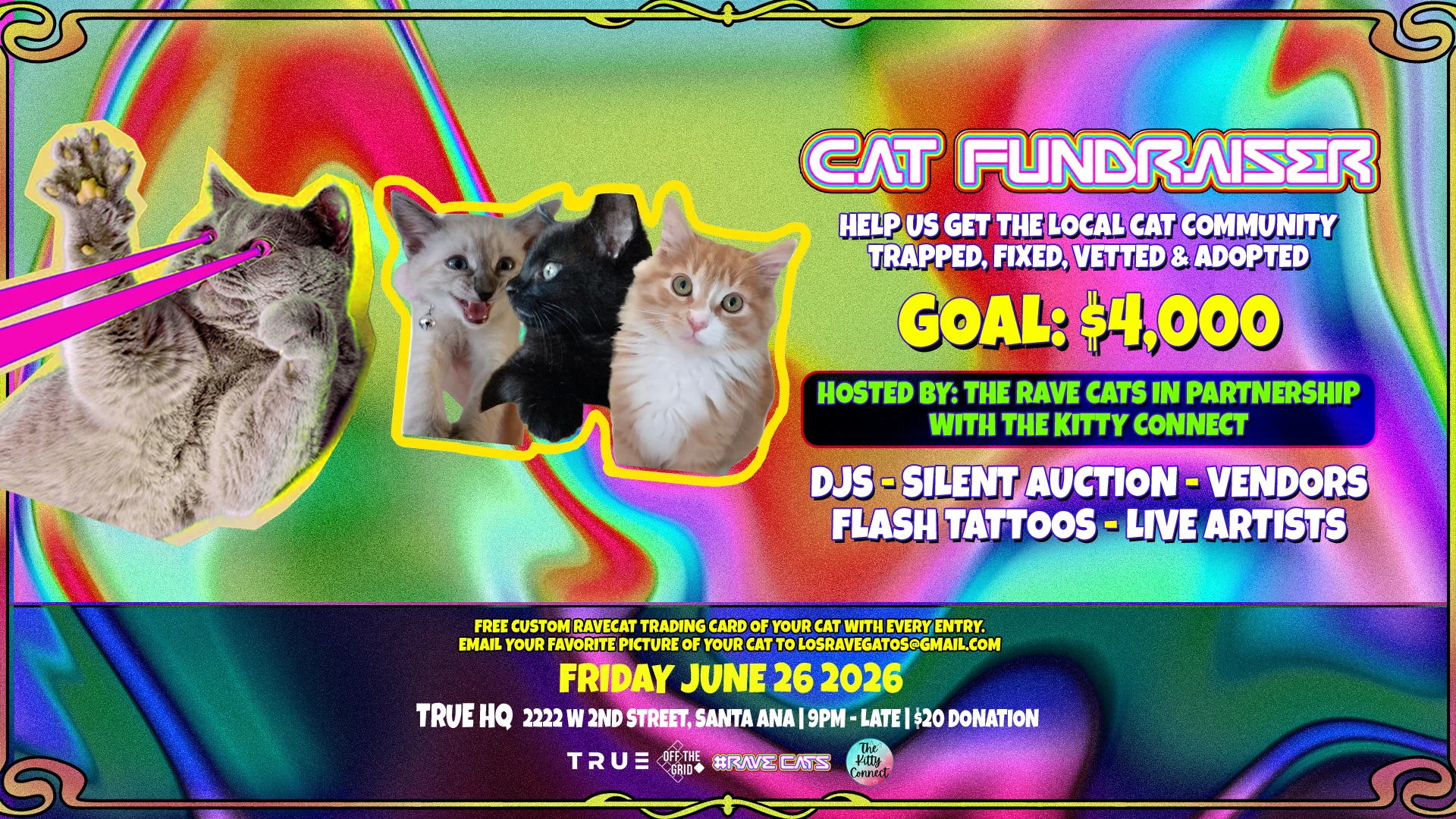 Cat Fundraiser At True Hq Cover