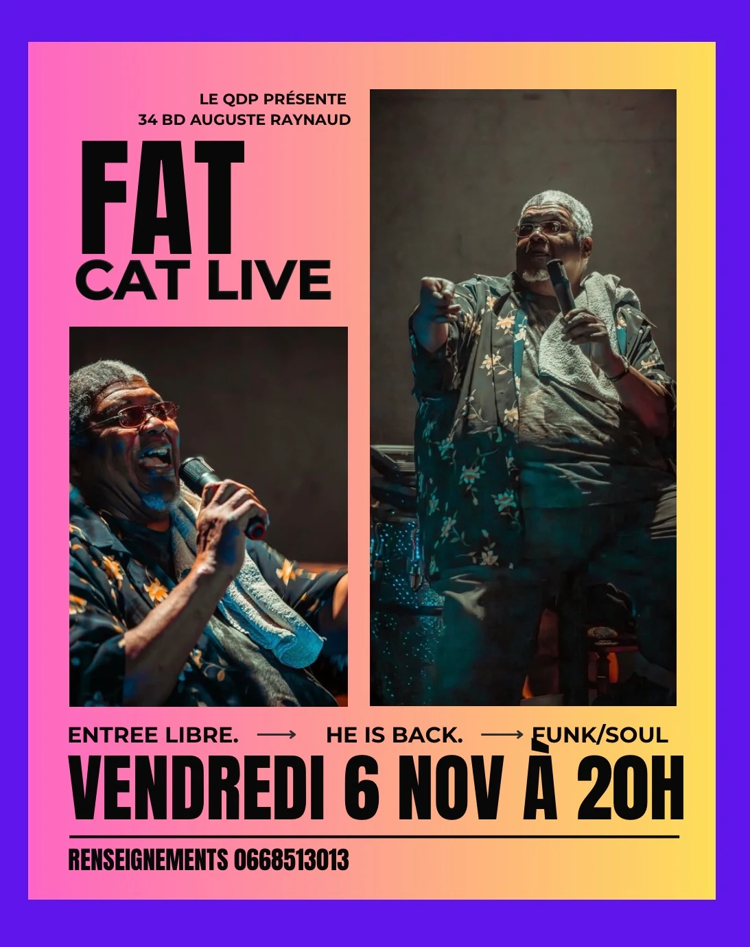 Fat Cat Is Live Cover