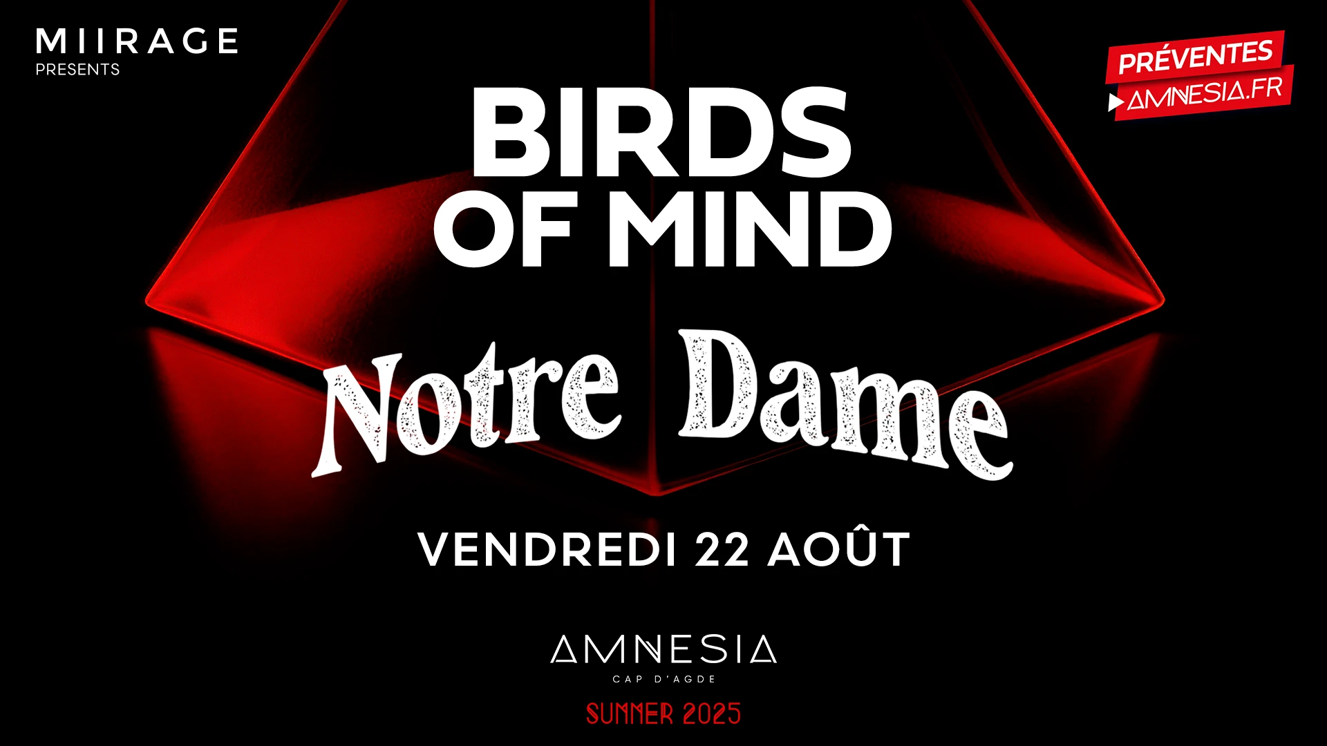Notre Dame & Birds Of Mind @ Amnesia Cover