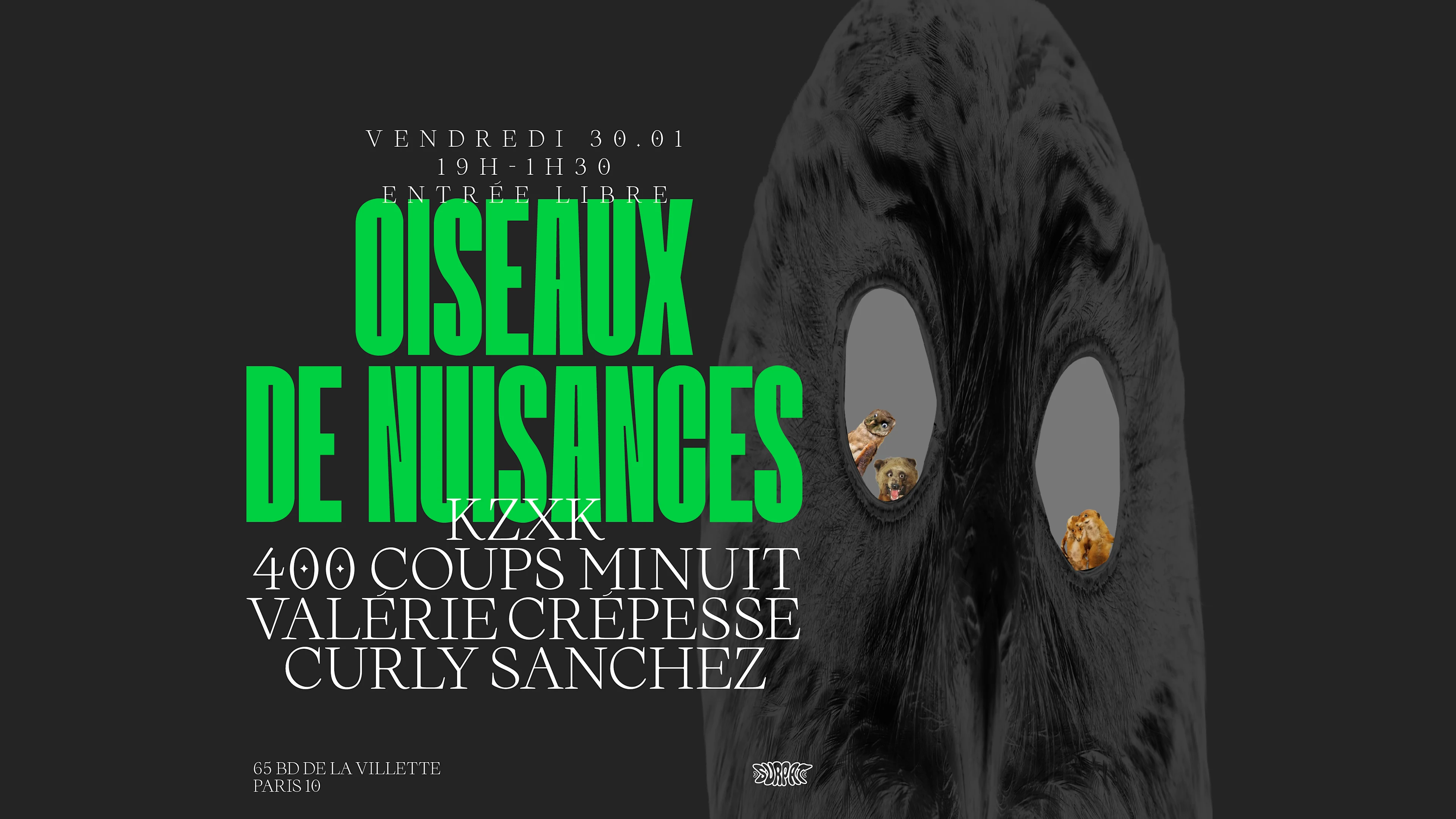 Surpat : Oiseaux De Nuisances Cover