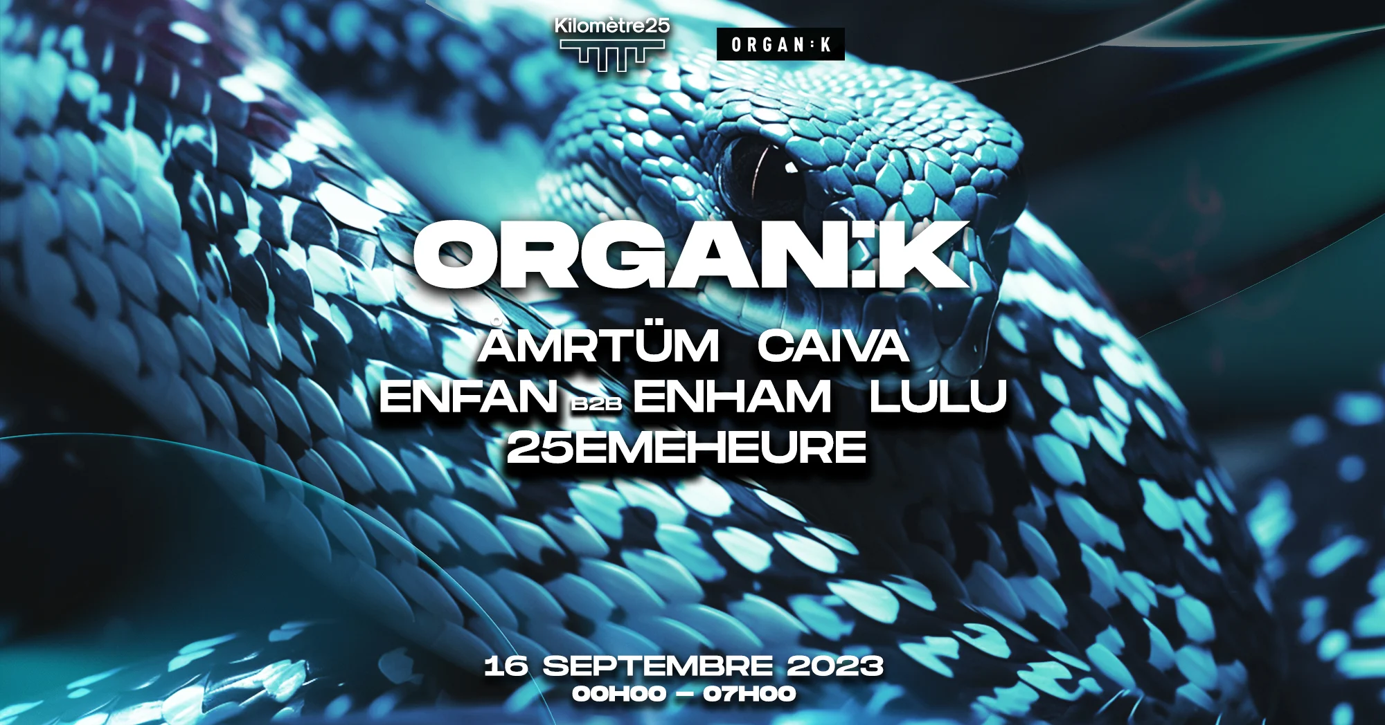Organik X Km25 : Amrtüm, Caiva, Enfan B2b Enham, Lulu & More Cover