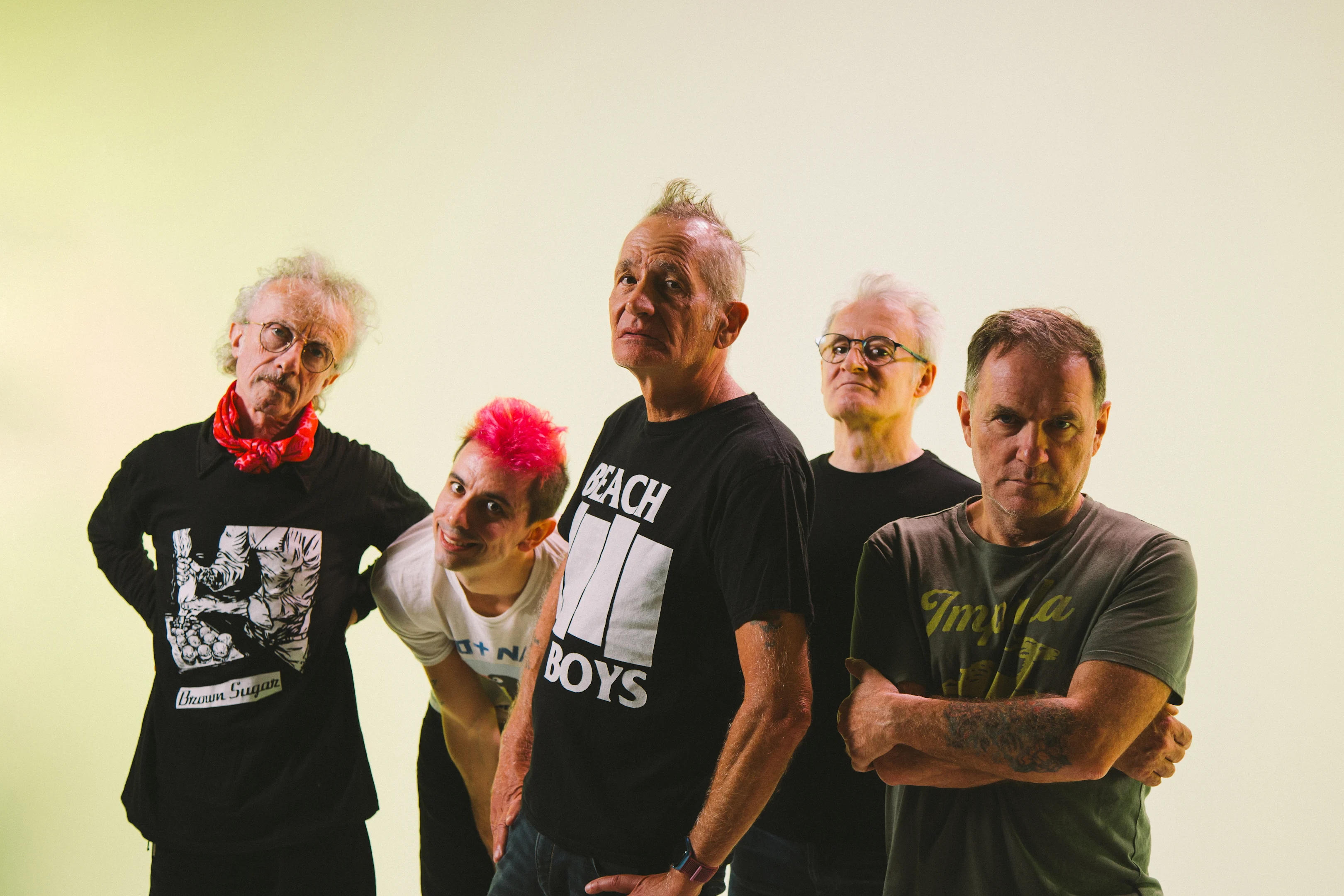 Les Wampas + Violett Pi Cover