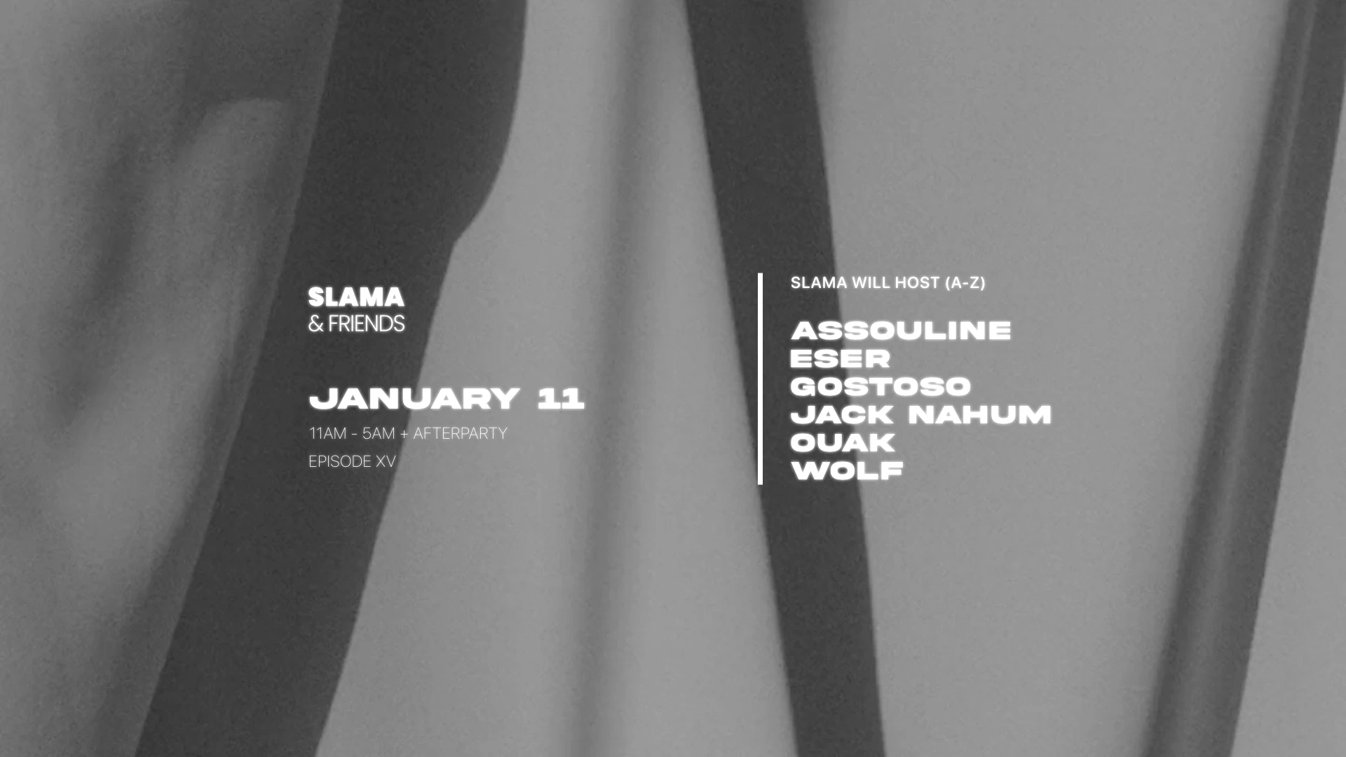 Slama & Friends (XV) Cover