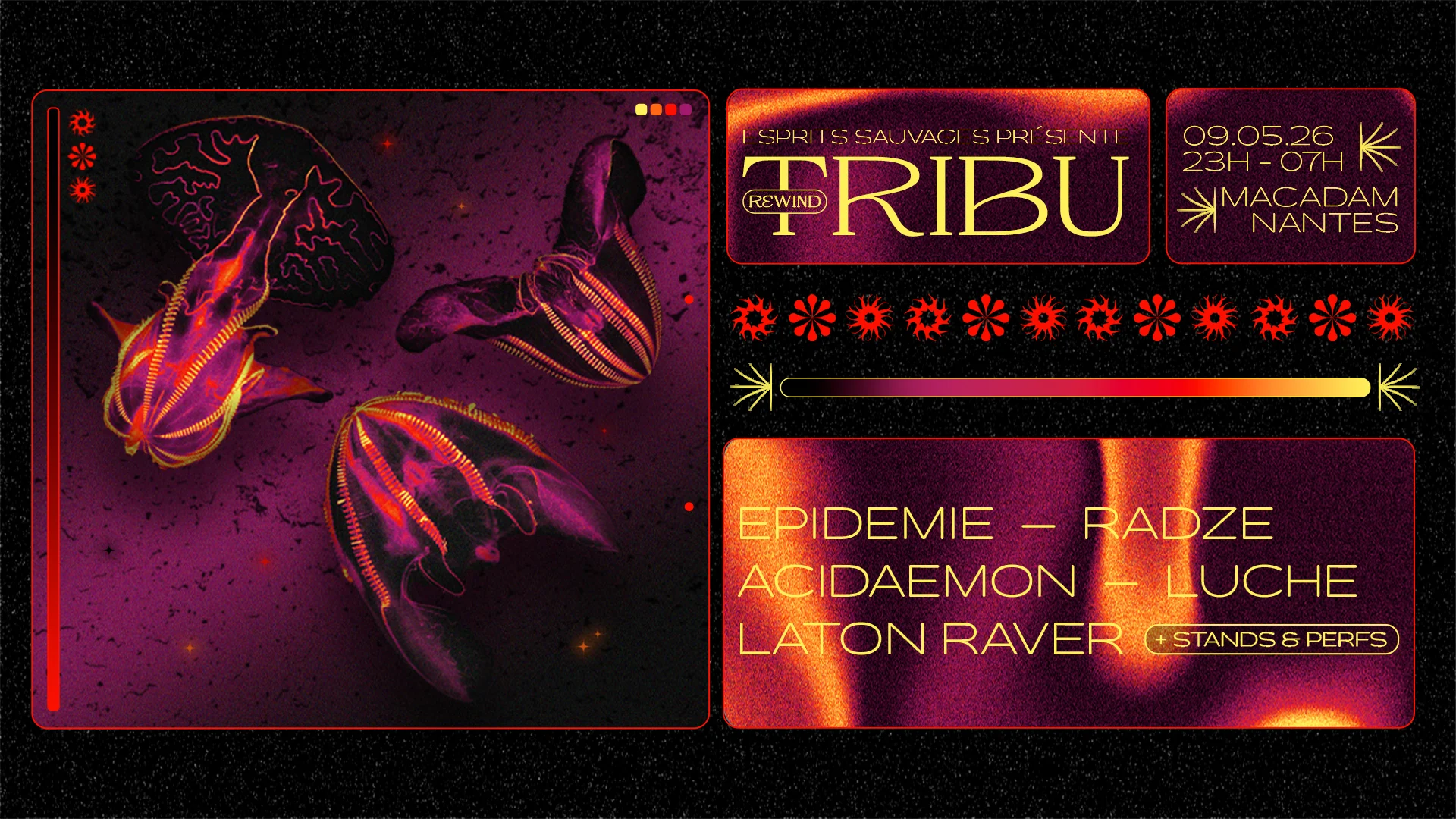 Tribu · Epidemie - Radze - Acidaemon - Luche - Laton Raver Cover