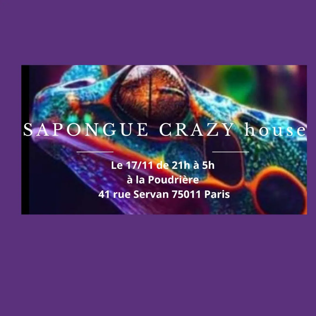 Sapongue Crazy House Cover