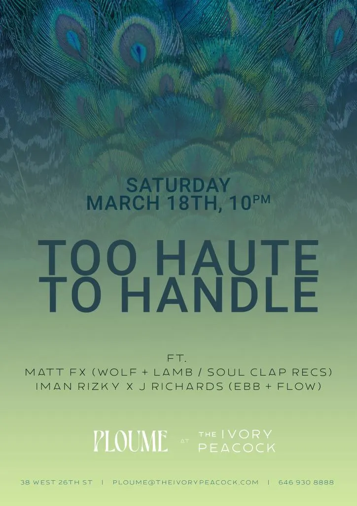 Too Haute To Handle Cover