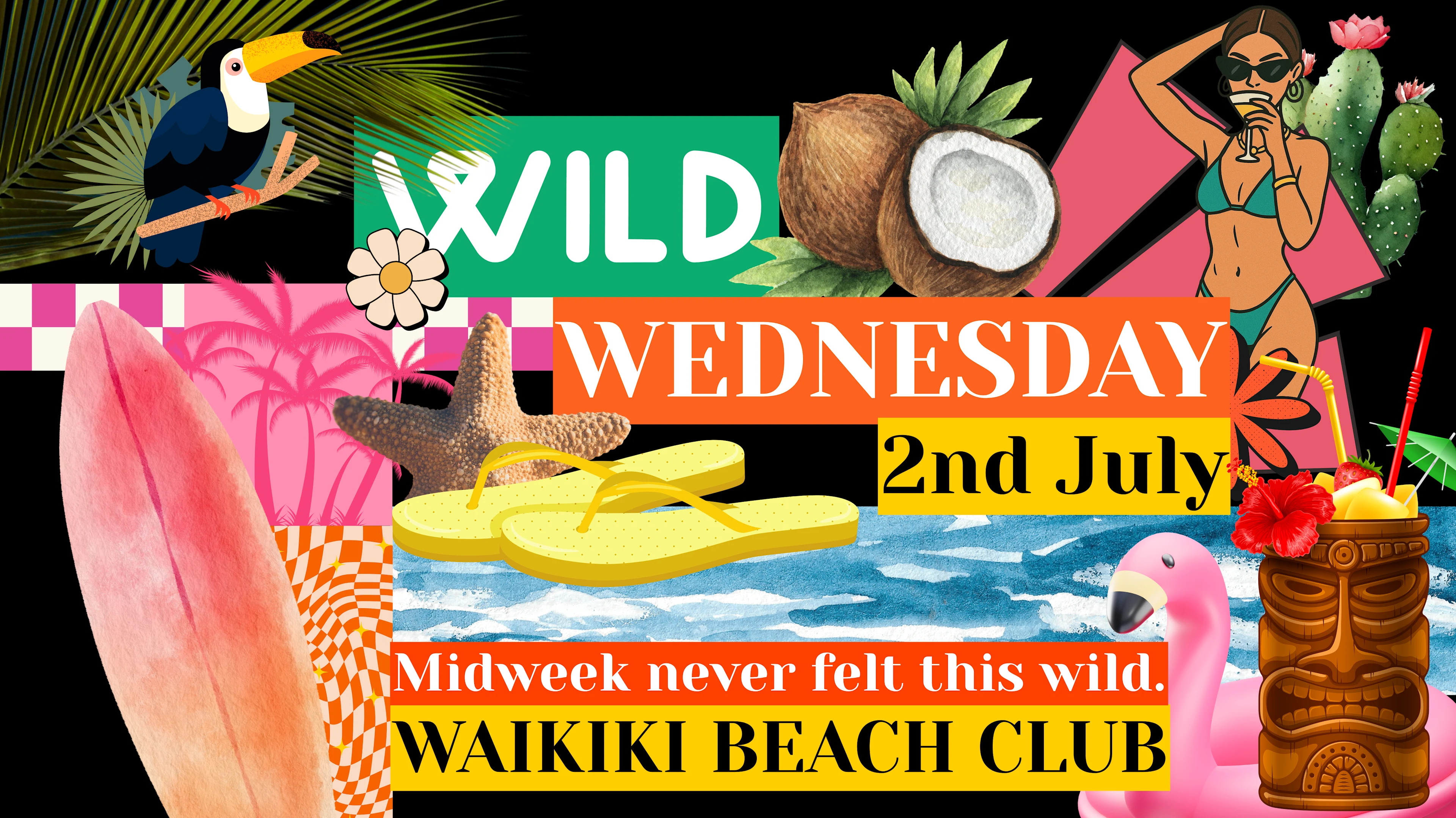 Wild Wednesday 2nd July Cover