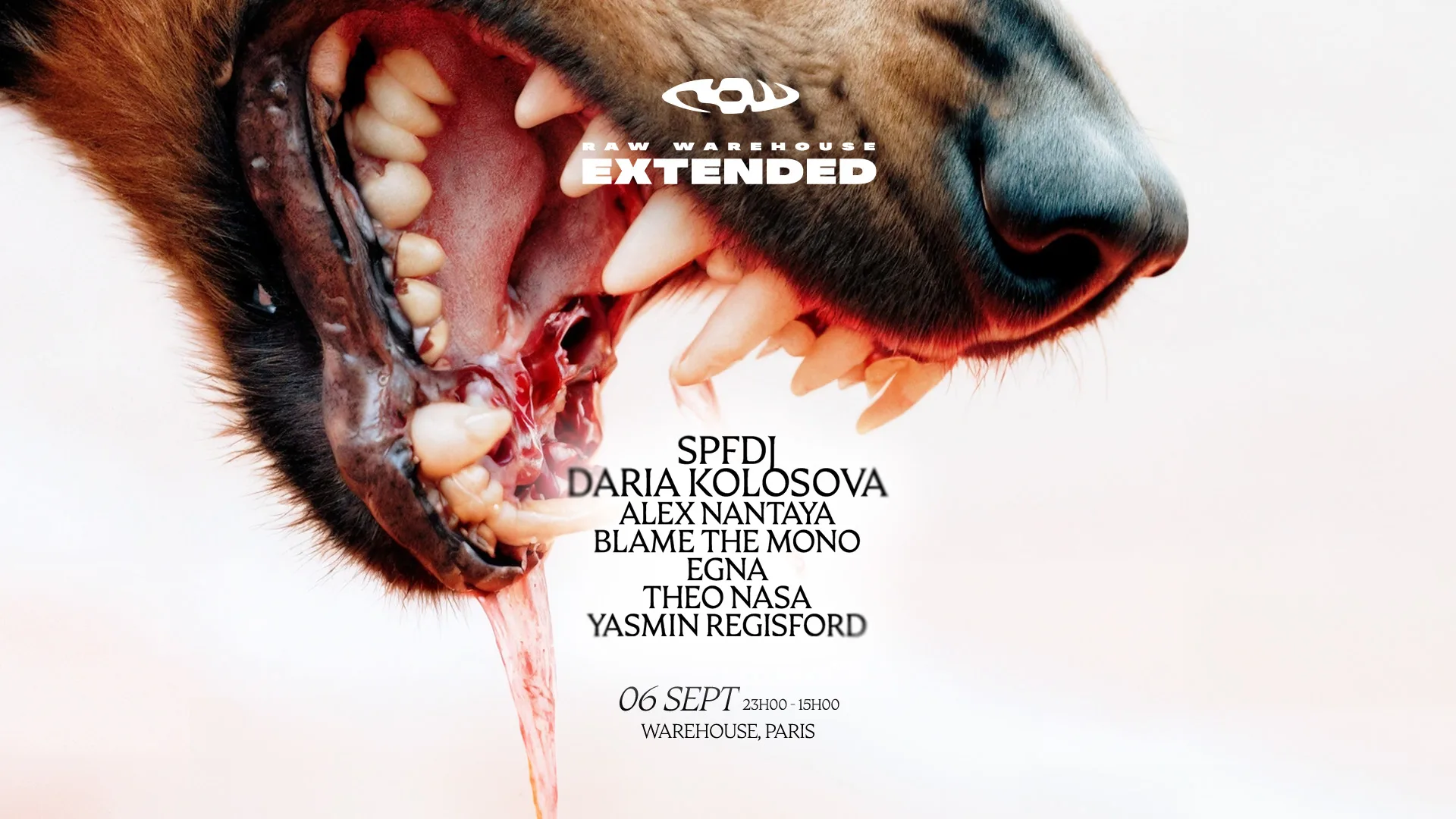 Raw Warehouse Extended • Spfdj, Daria Kolosova & More Cover