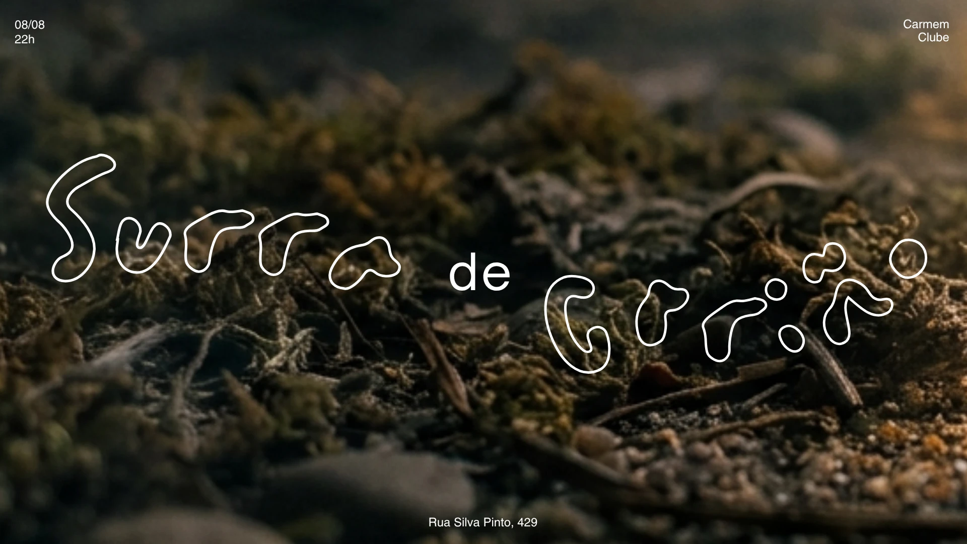 Surra De Cariño Cover