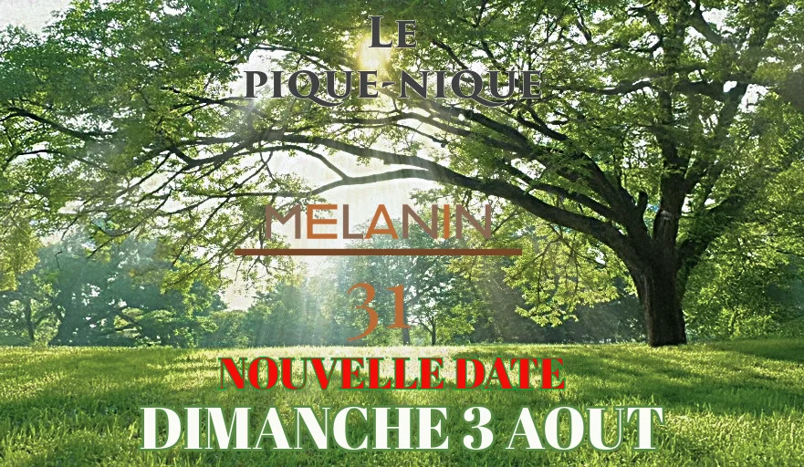 Le Pique Nique Melanin 31 Cover