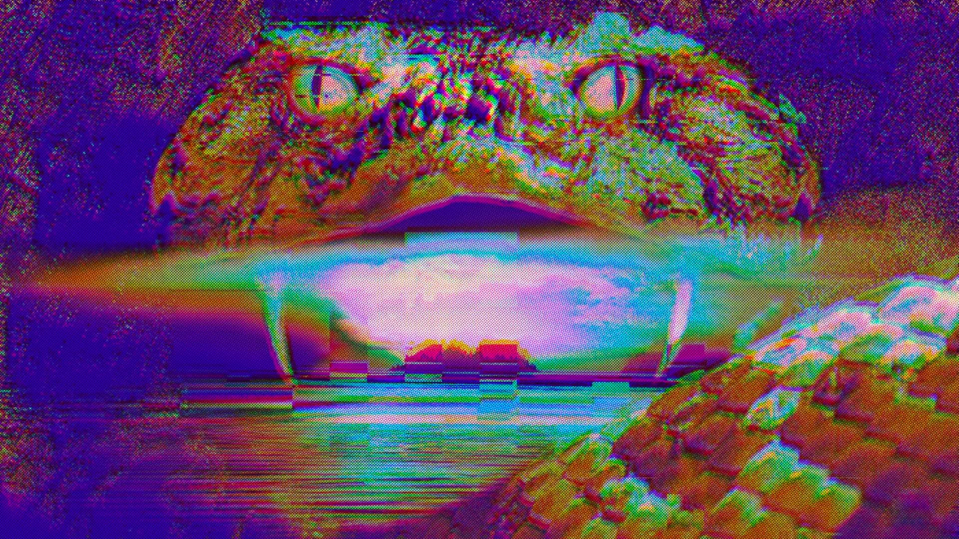 Snake Island Cover