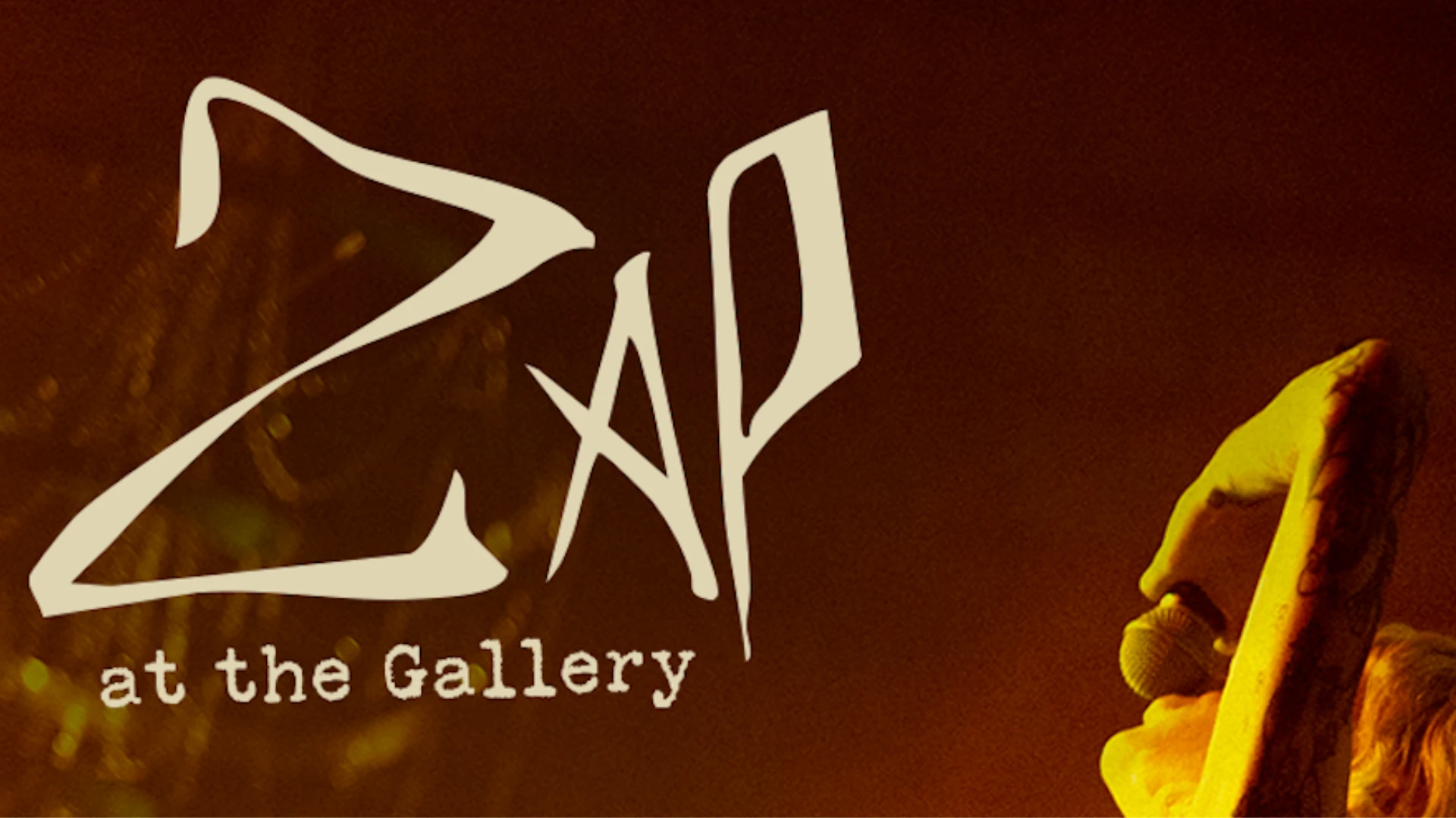 Zap At The Gallery Cover