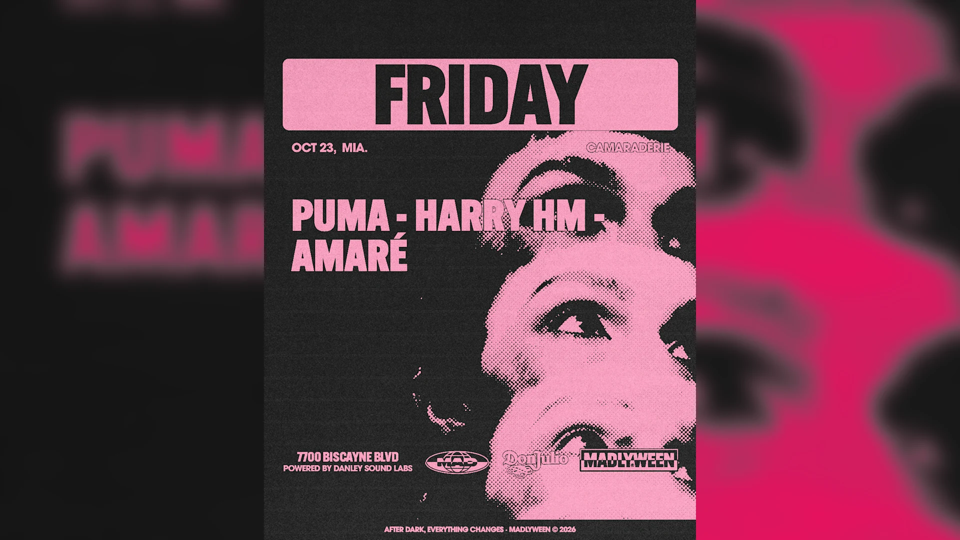 Camaraderie: Puma / Harry Hm / Amaré Cover