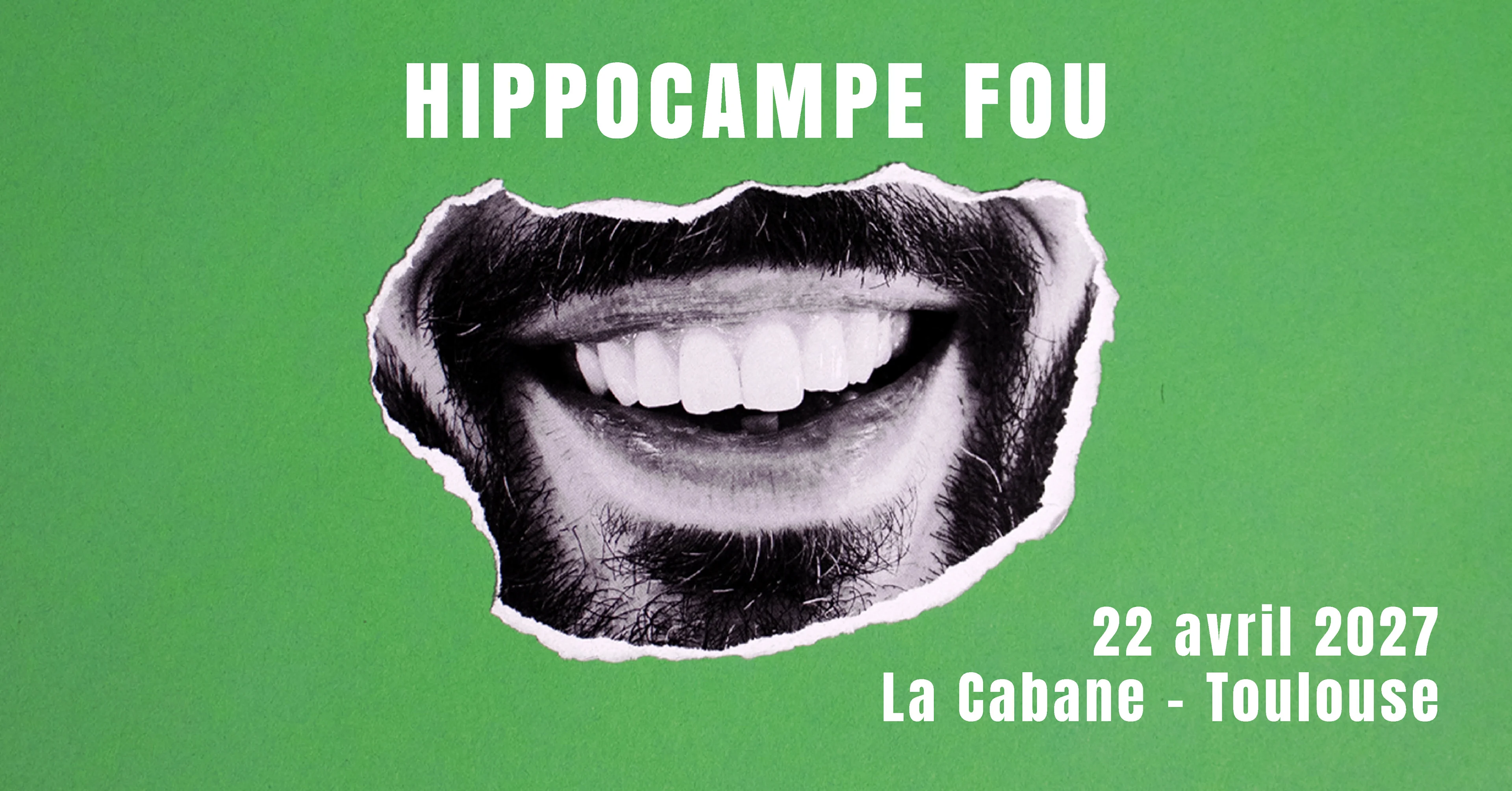 Hippocampe Fou À Toulouse Cover