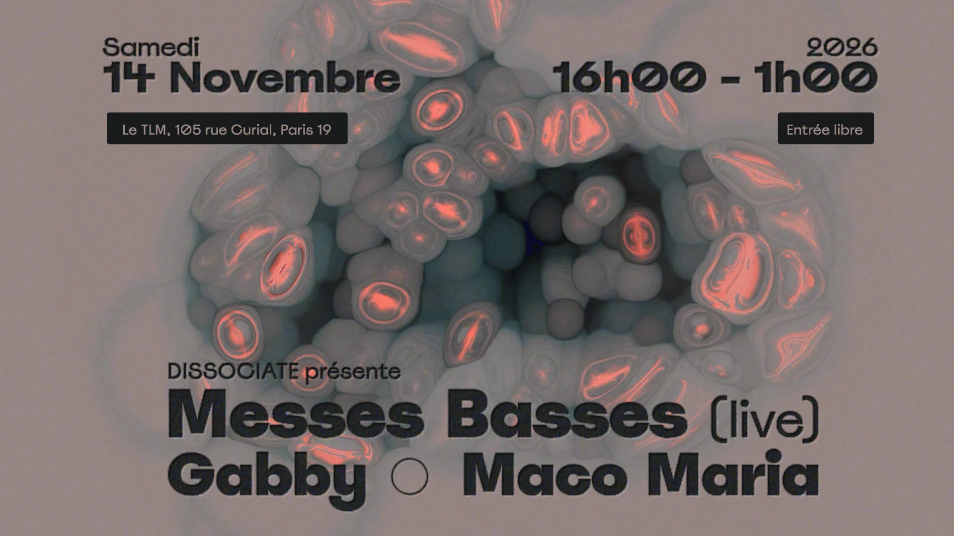 Dissociate Présente : Messes Basses Live Cover