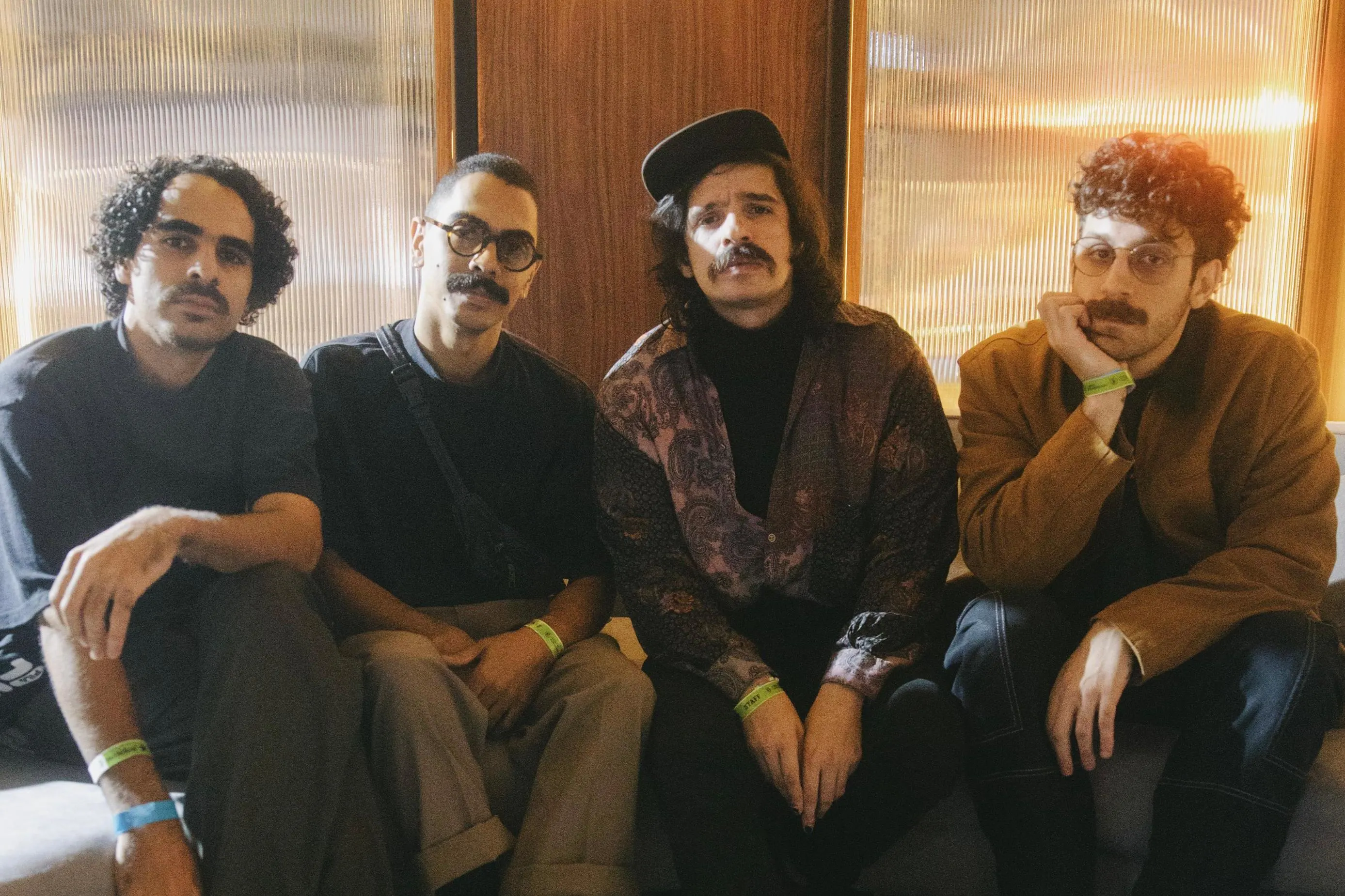 Walfredo Em Busca Da Simbiose No Picles Cover