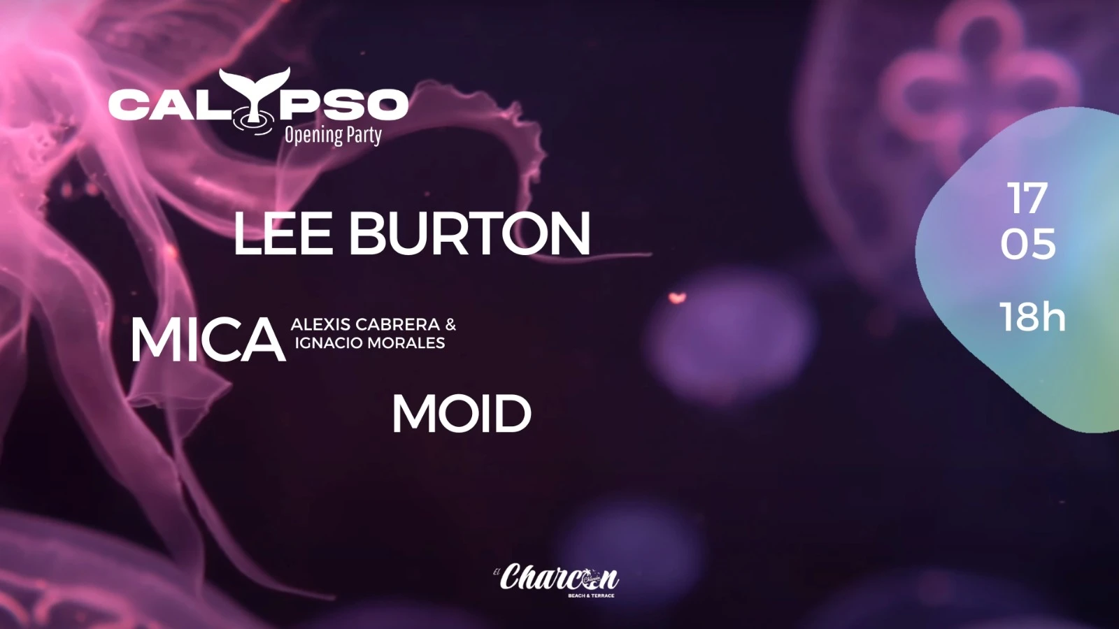 Calypso 17/05 W/ Lee Burton (Opening Season) Cover