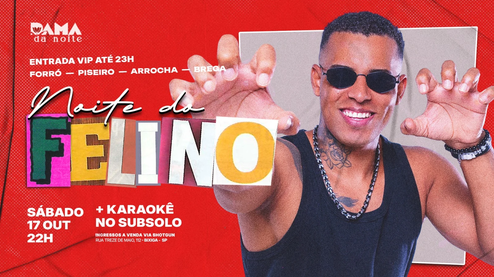 Noite Do Felino Cover