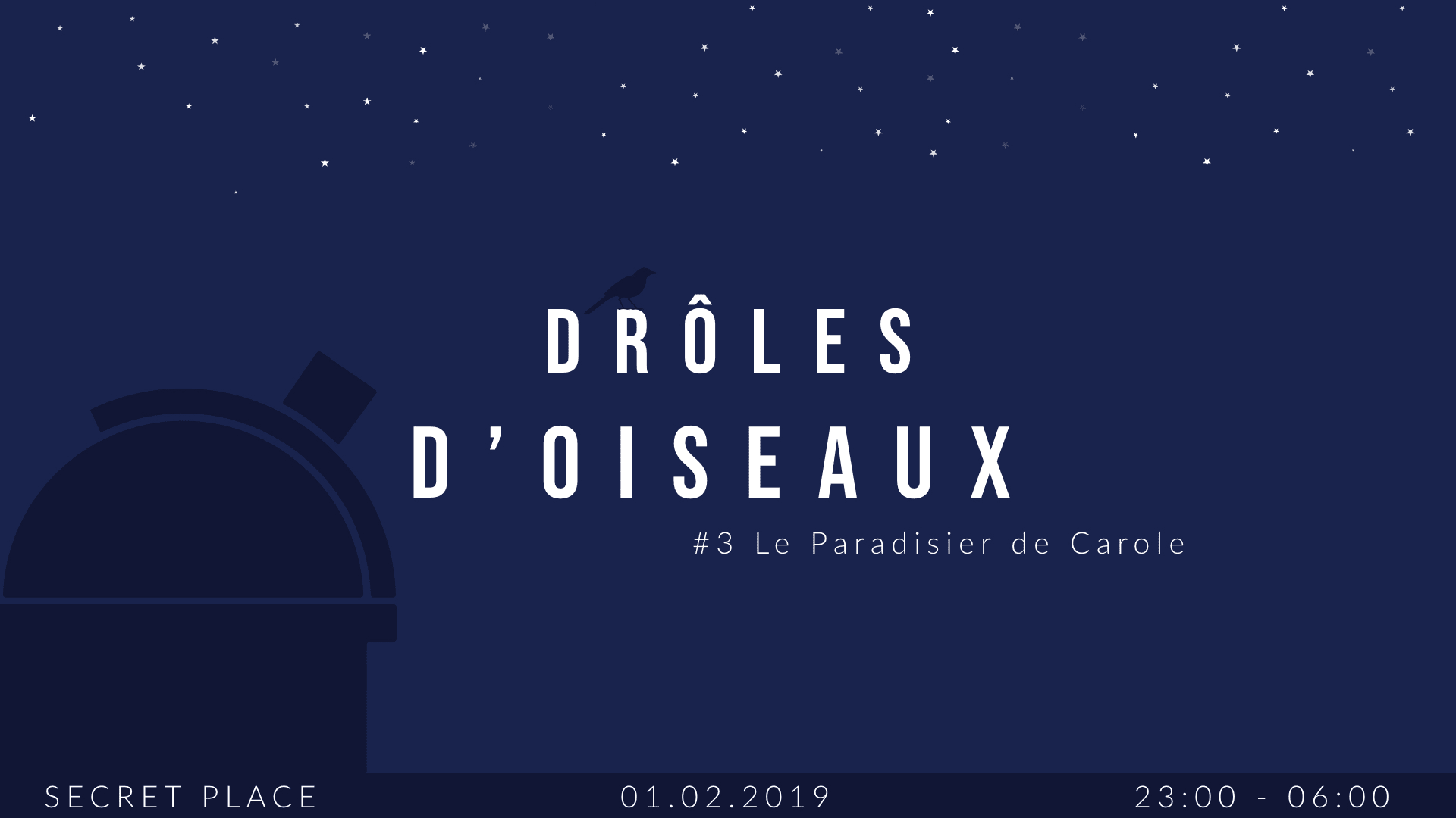 Drôles D'oiseaux #3 Le Paradisier De Carole Cover