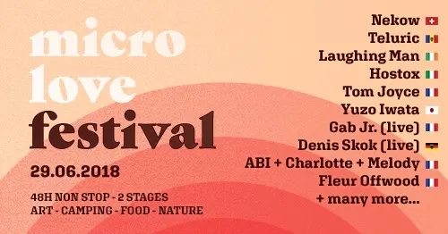 Micro Love Festival ● Secret Paradise Cover